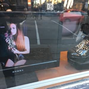Boutique Creatures Opening Hours 171 Av Du Mont Royal E