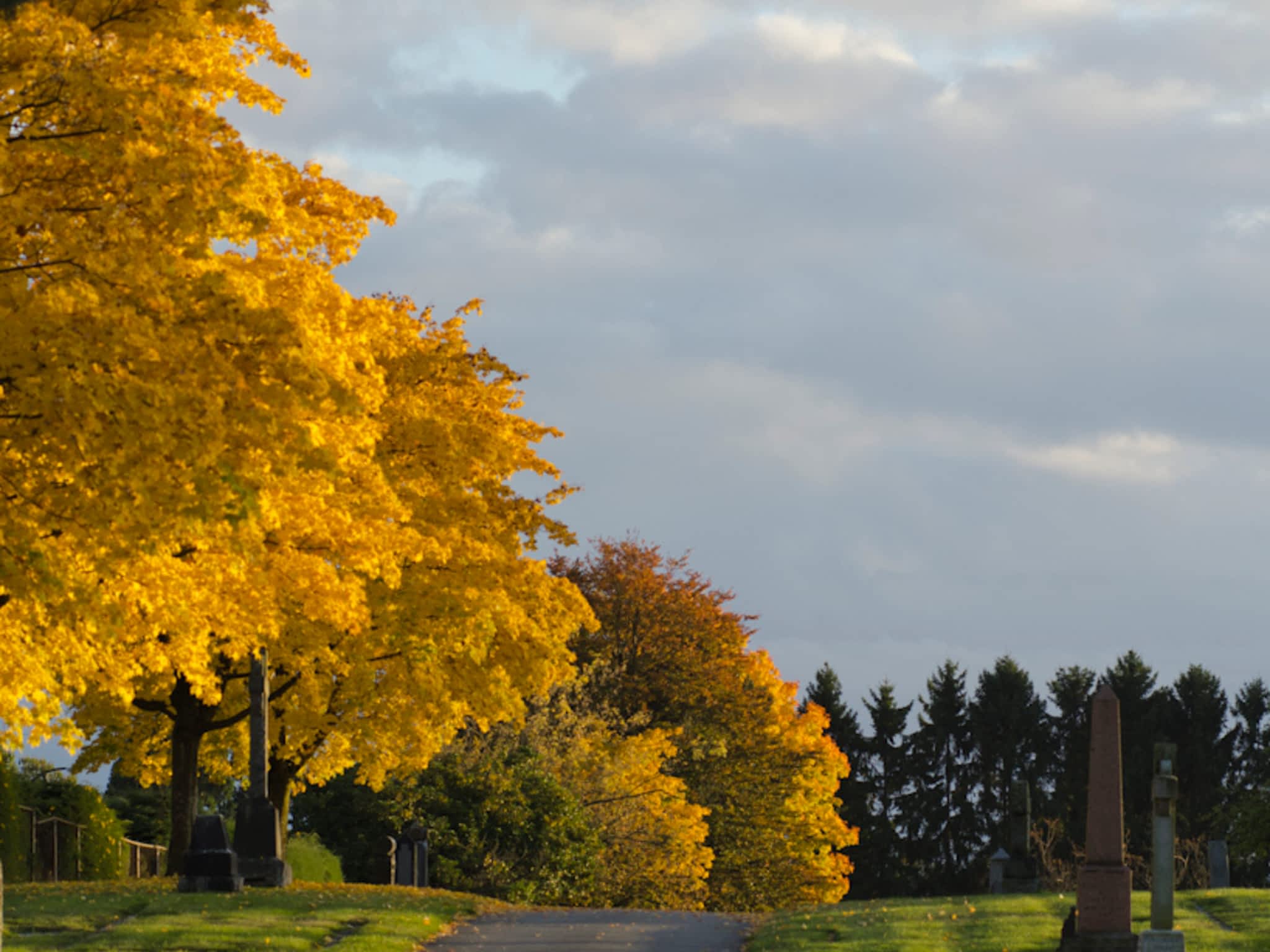 photo Mountain View Cemetery