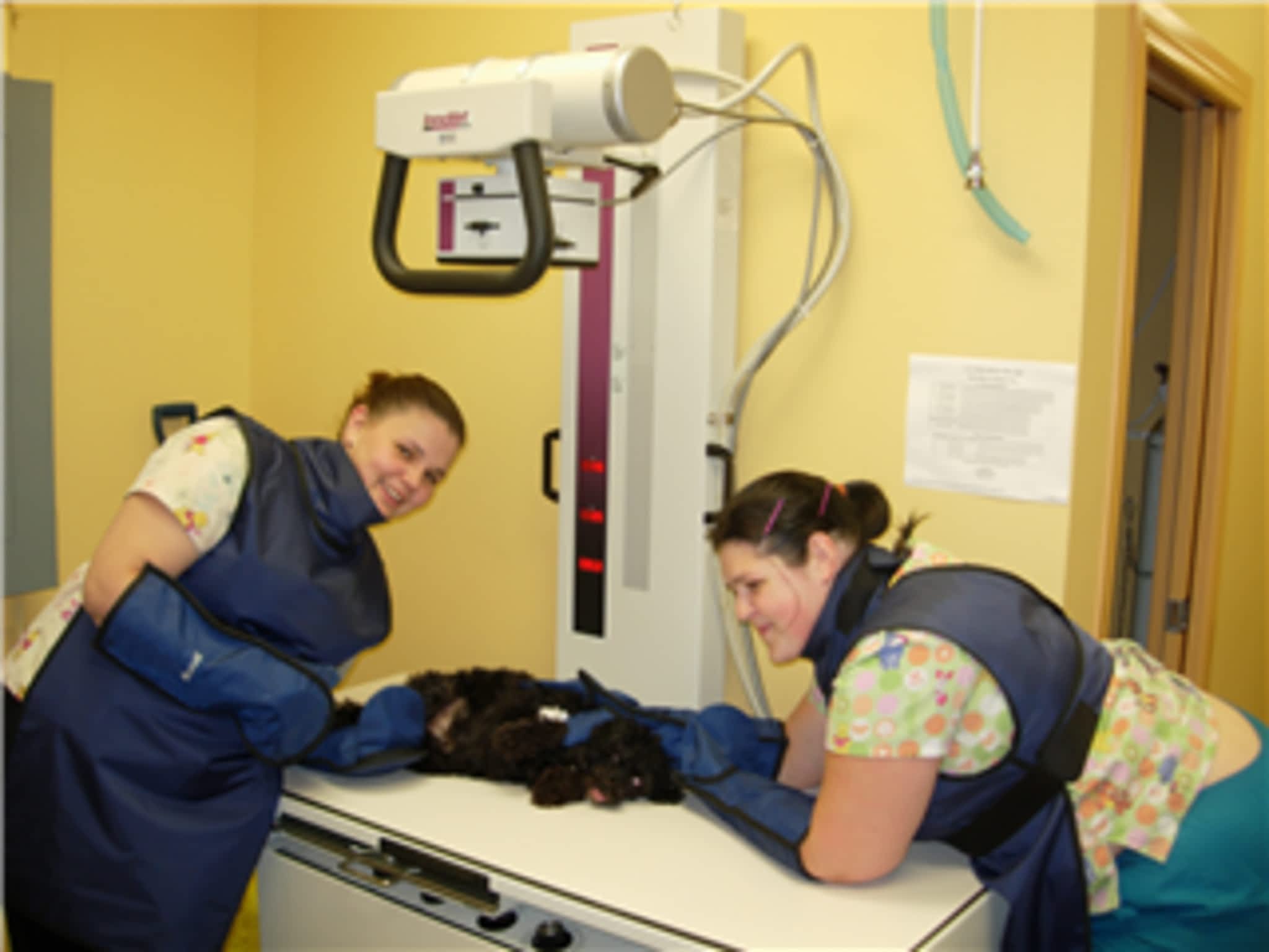 photo Creekside Veterinary Hospital