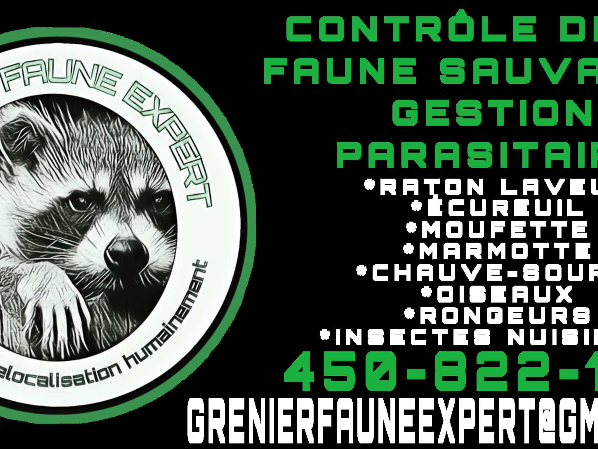 photo Grenier Faune Expert