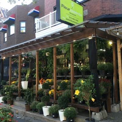 Fleuressence Monkland - Florists & Flower Shops