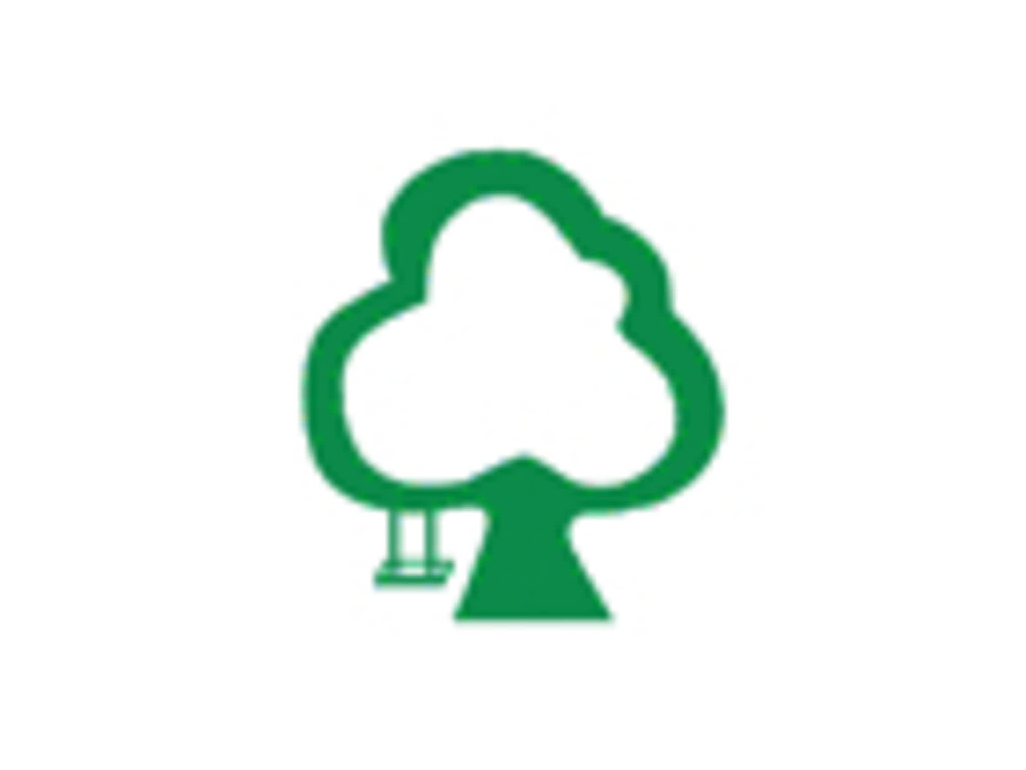 photo Maple Maple Tree Pre School