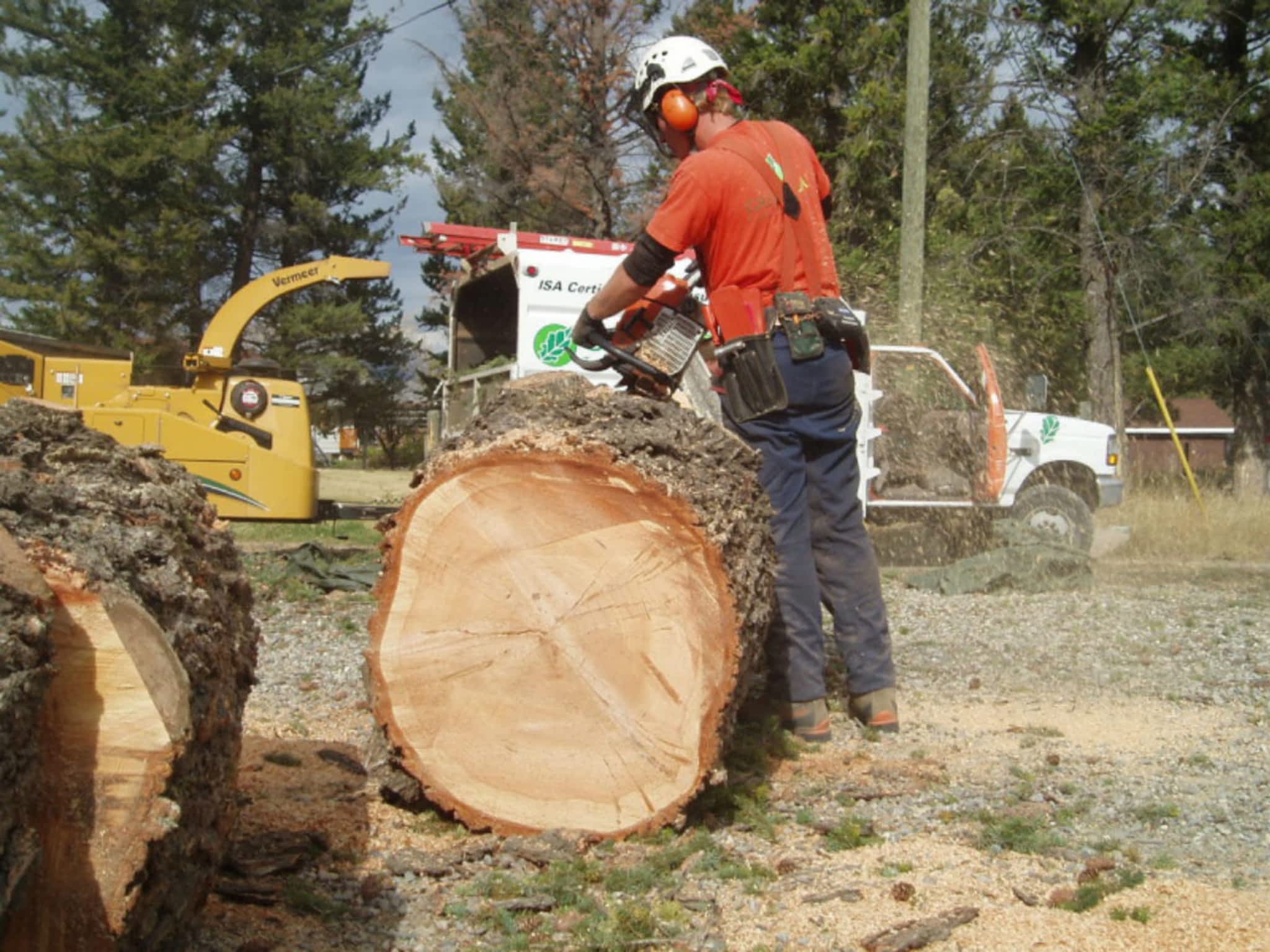 photo Green Leaf Tree Services