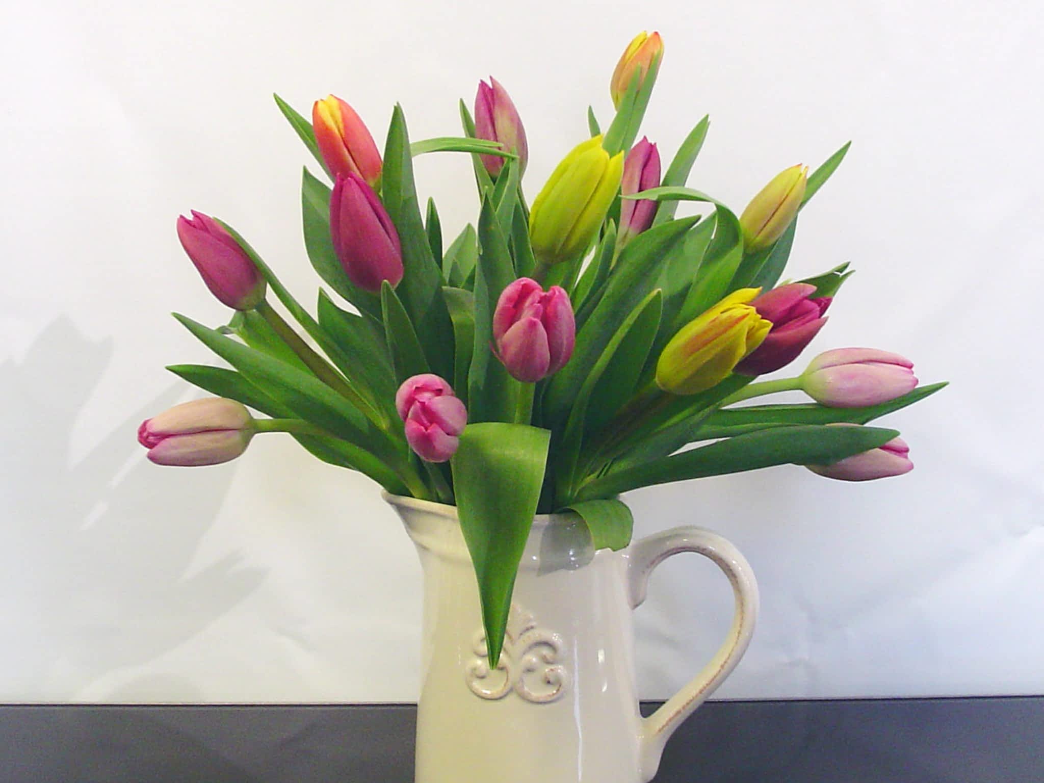 Flowers Forever Sarnia, ON 132 Russell St S Canpages