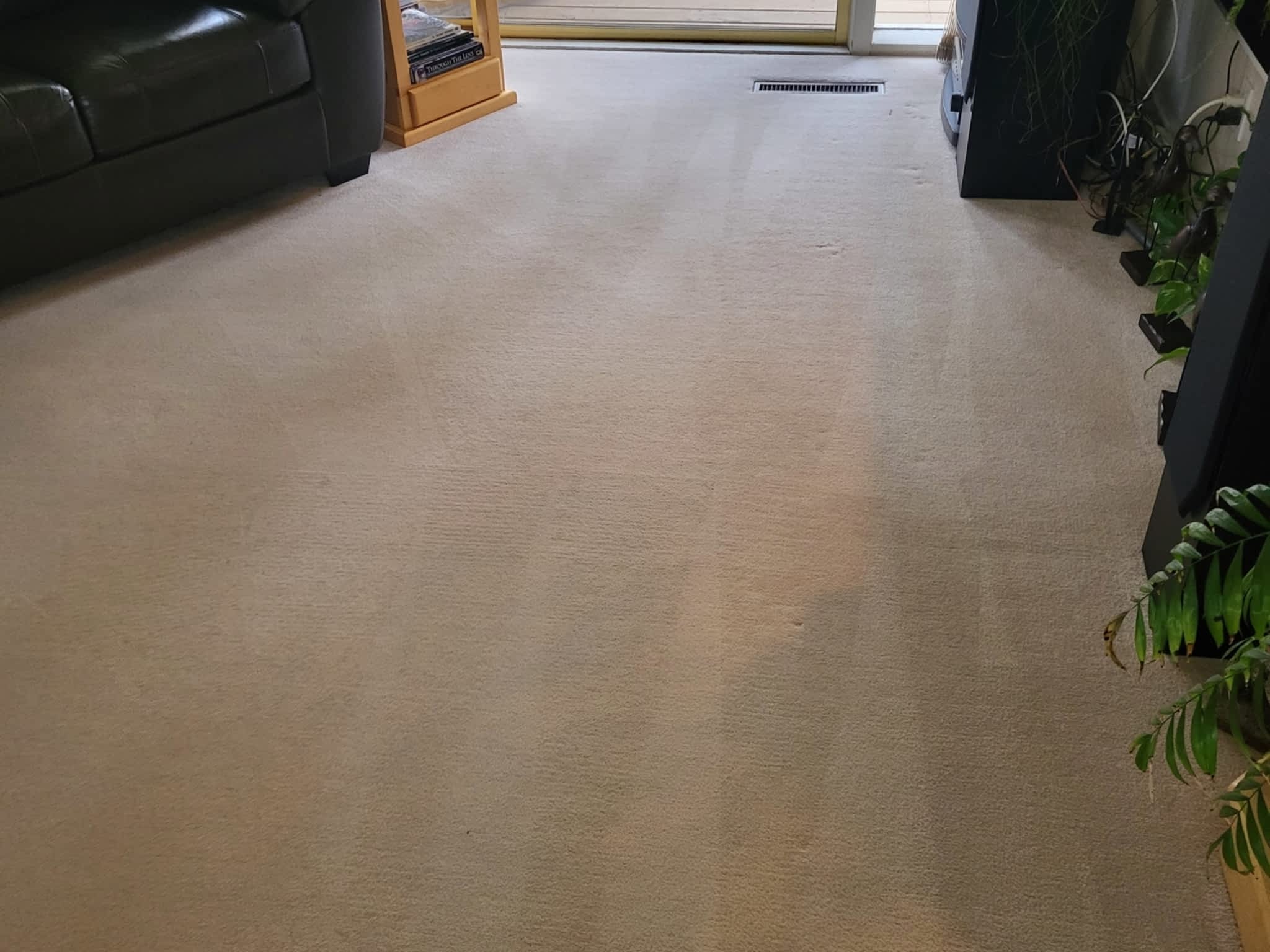 photo Green Hippo Carpet and Floor Cleaning