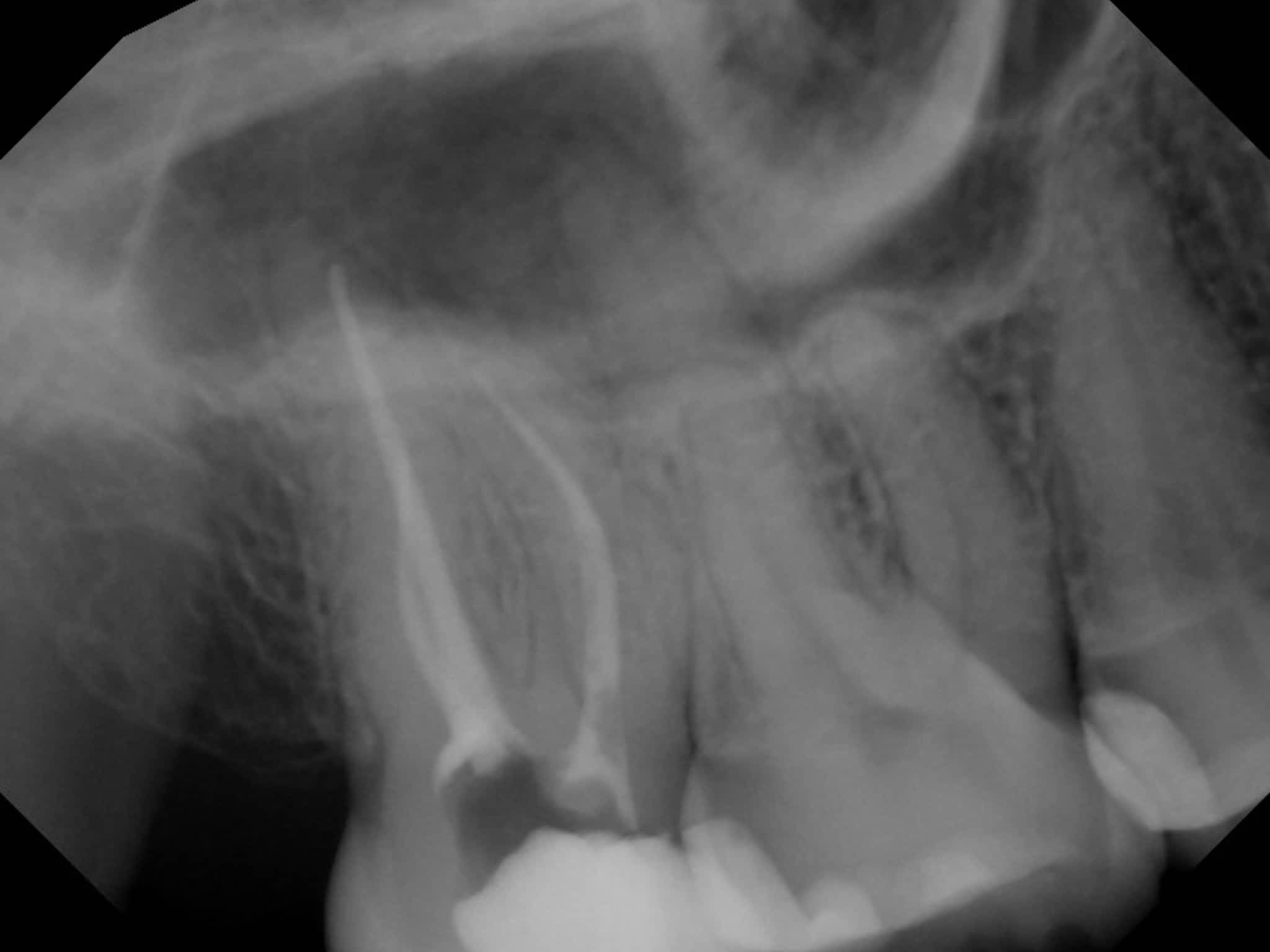 photo Dr. Elie M. Wolfson