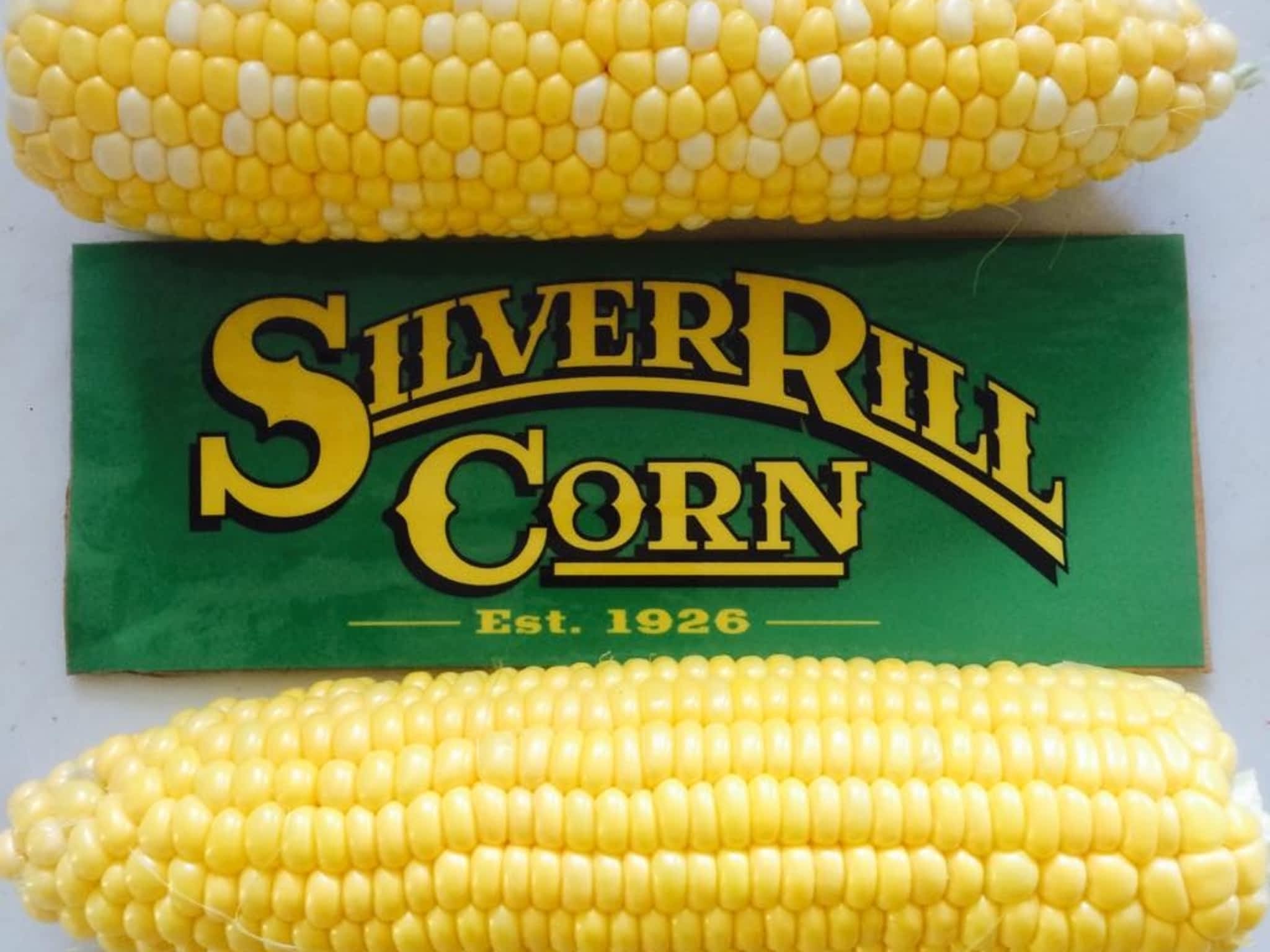 photo Silver Rill Corn