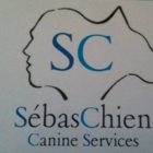 Sébaschien - Pet Care Services
