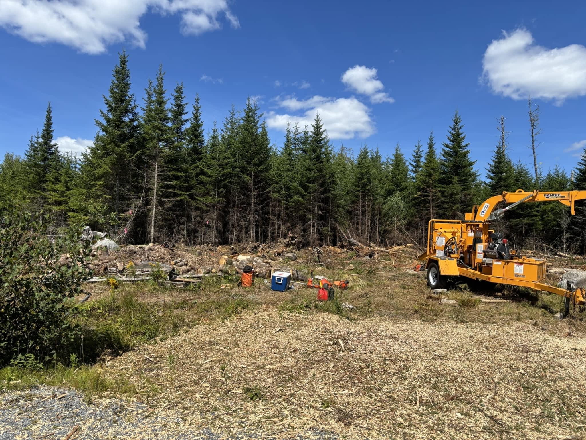 photo Emmitt's Tree Services