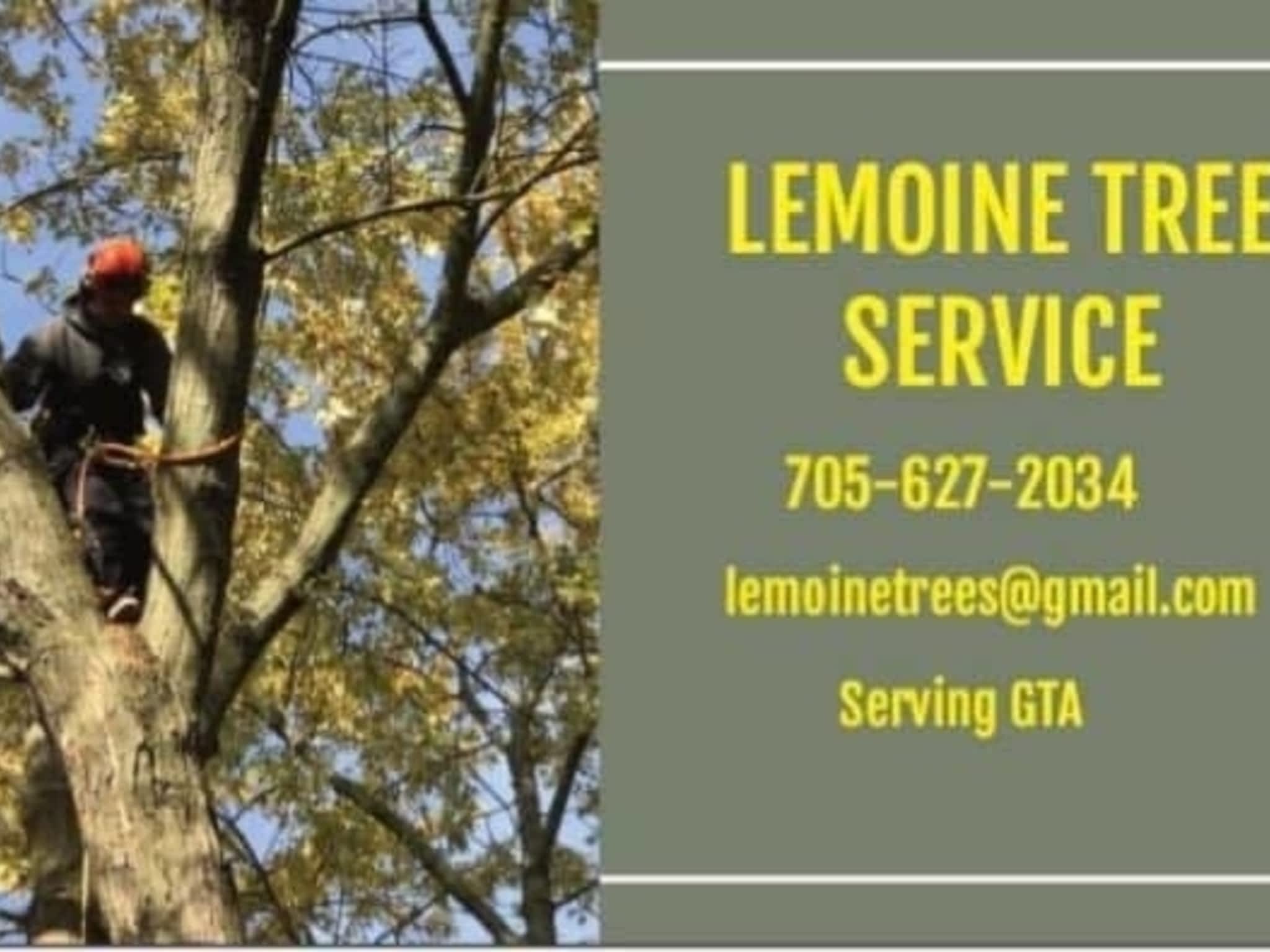 photo Lemoine Tree Service