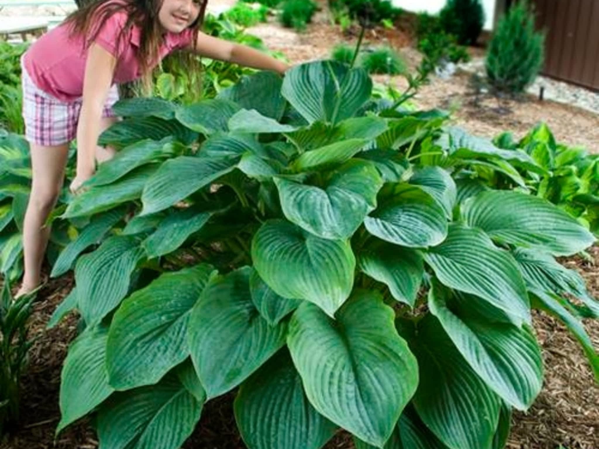 photo Kackenhoff Nurseries Ltd