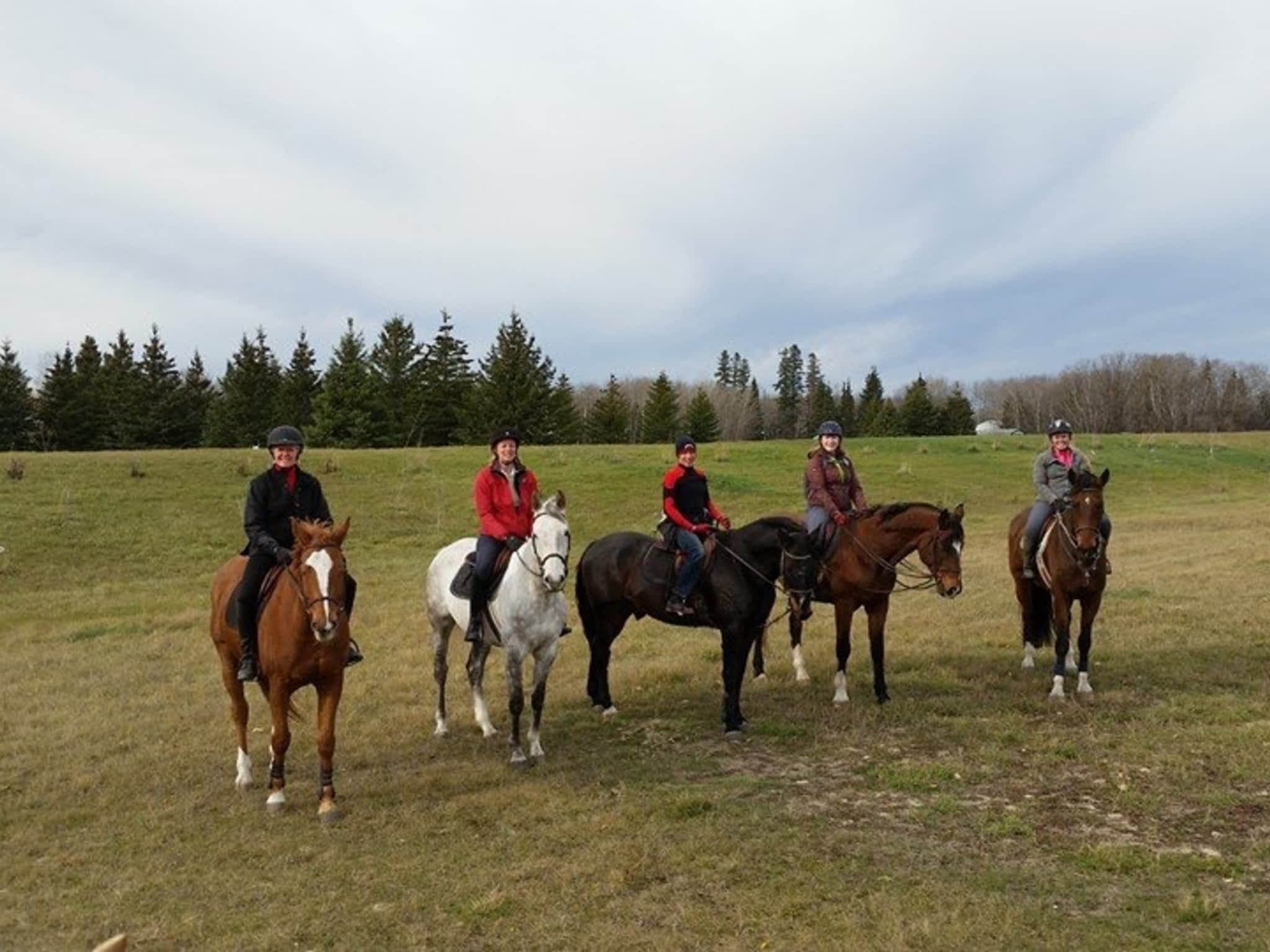 Grand Oak Meadow Stables Winnipeg, MB 1237 McCreary Rd Canpages