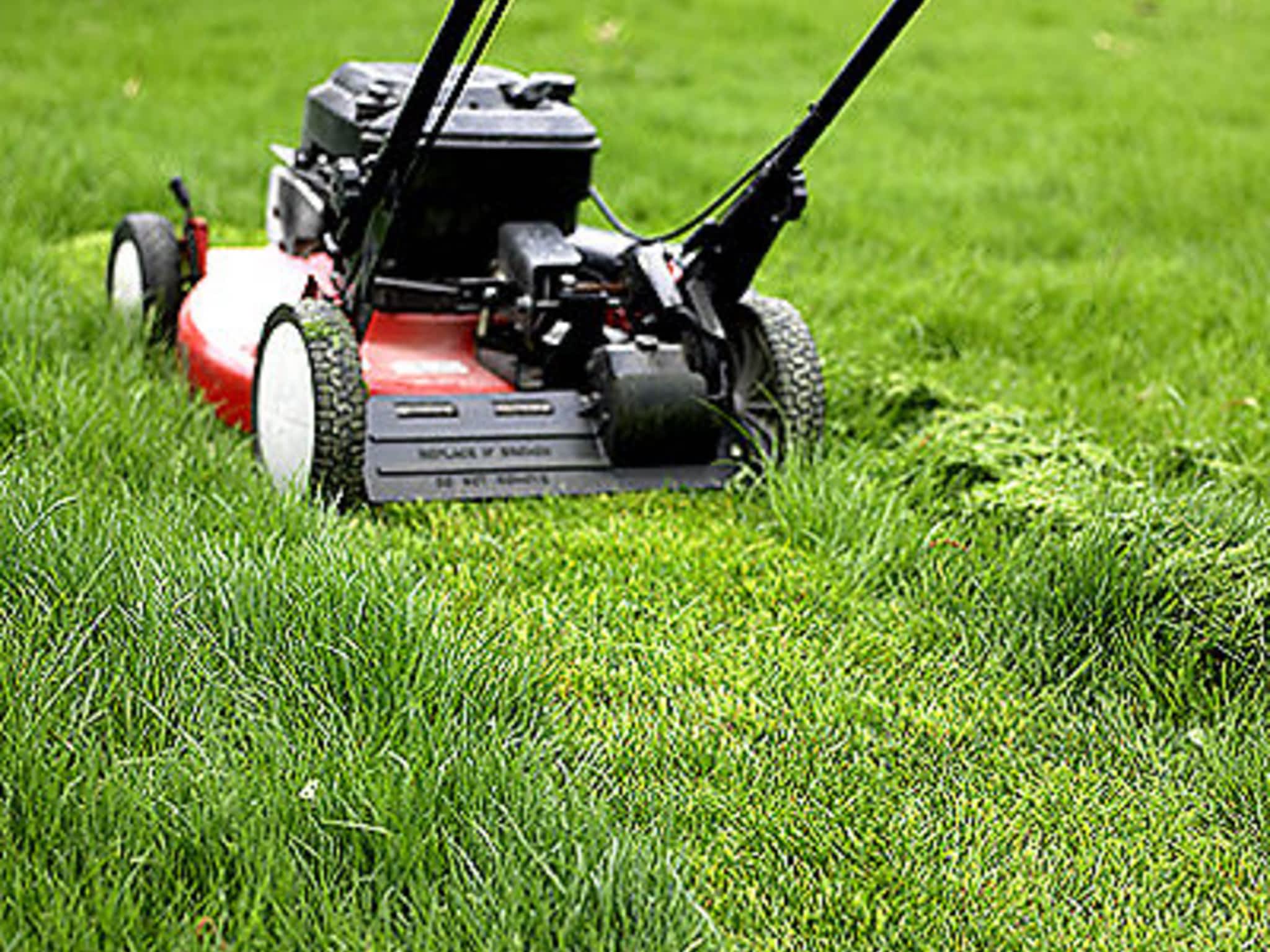 photo DSSL Landscape