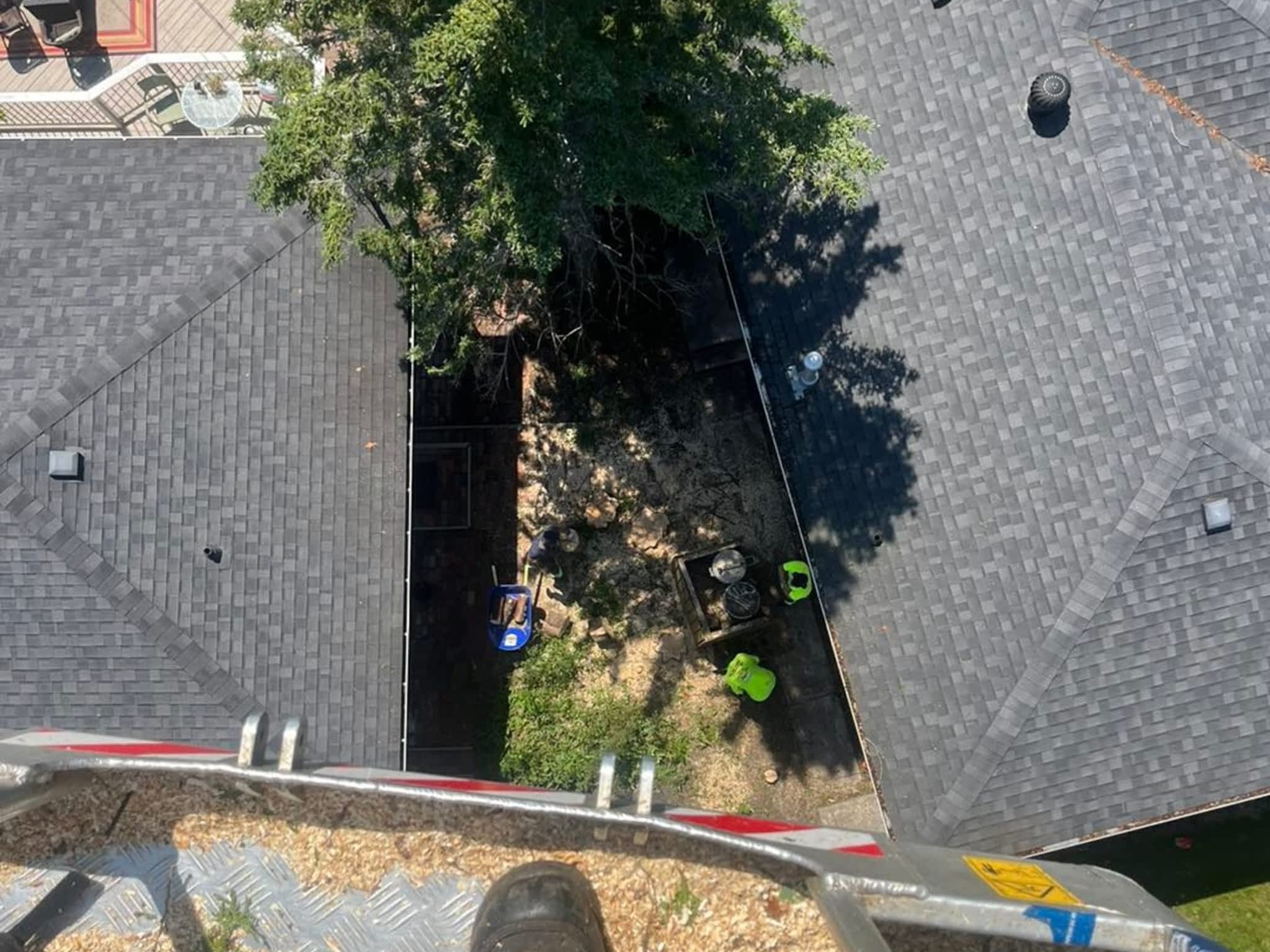 photo Master Tree Service