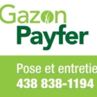 Gazon Payfer - Lawn Maintenance