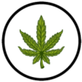 Amsterdam Smokes - Détaillants de cannabis