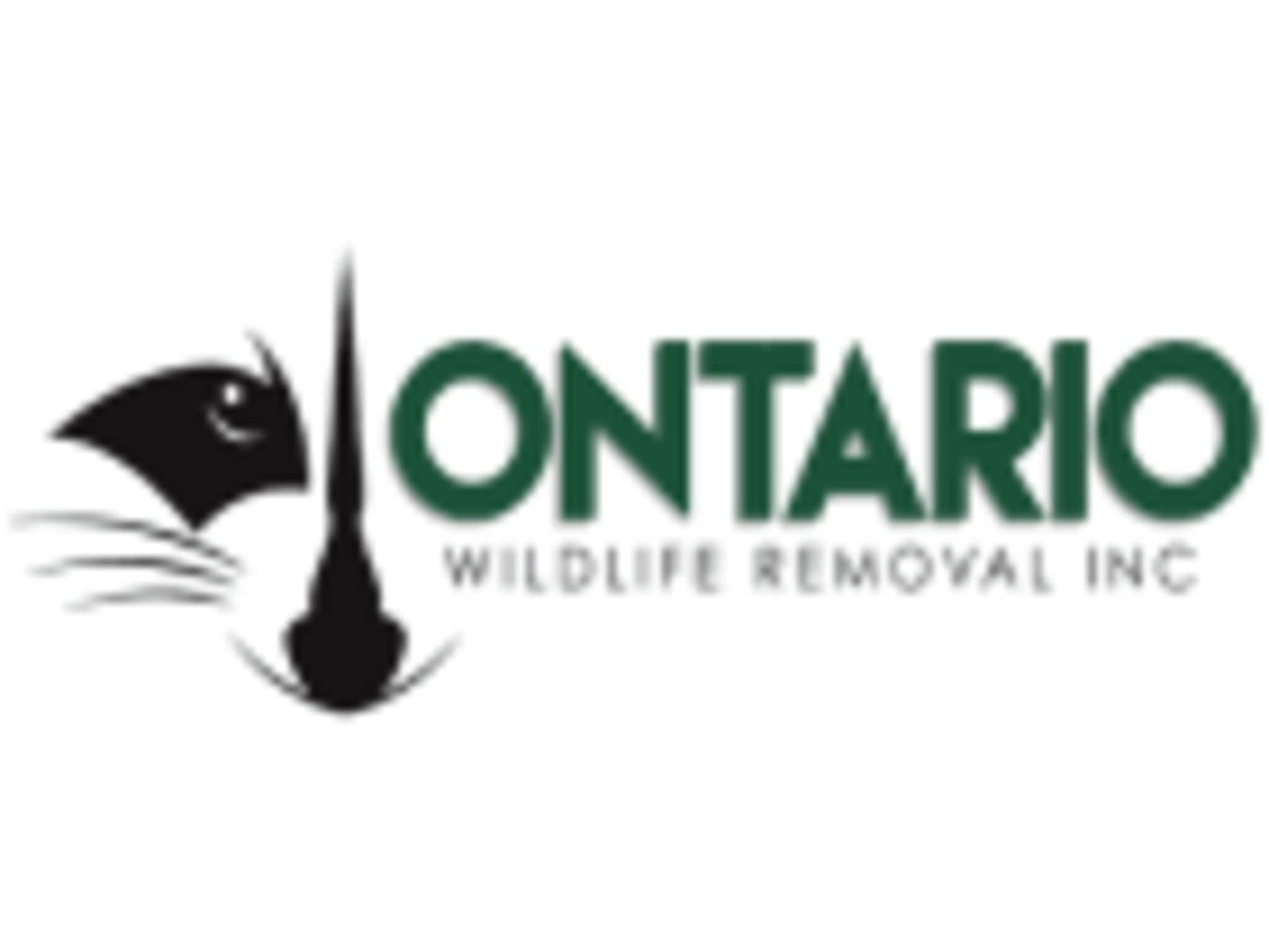 photo Ontario Wildlife Removal Inc.