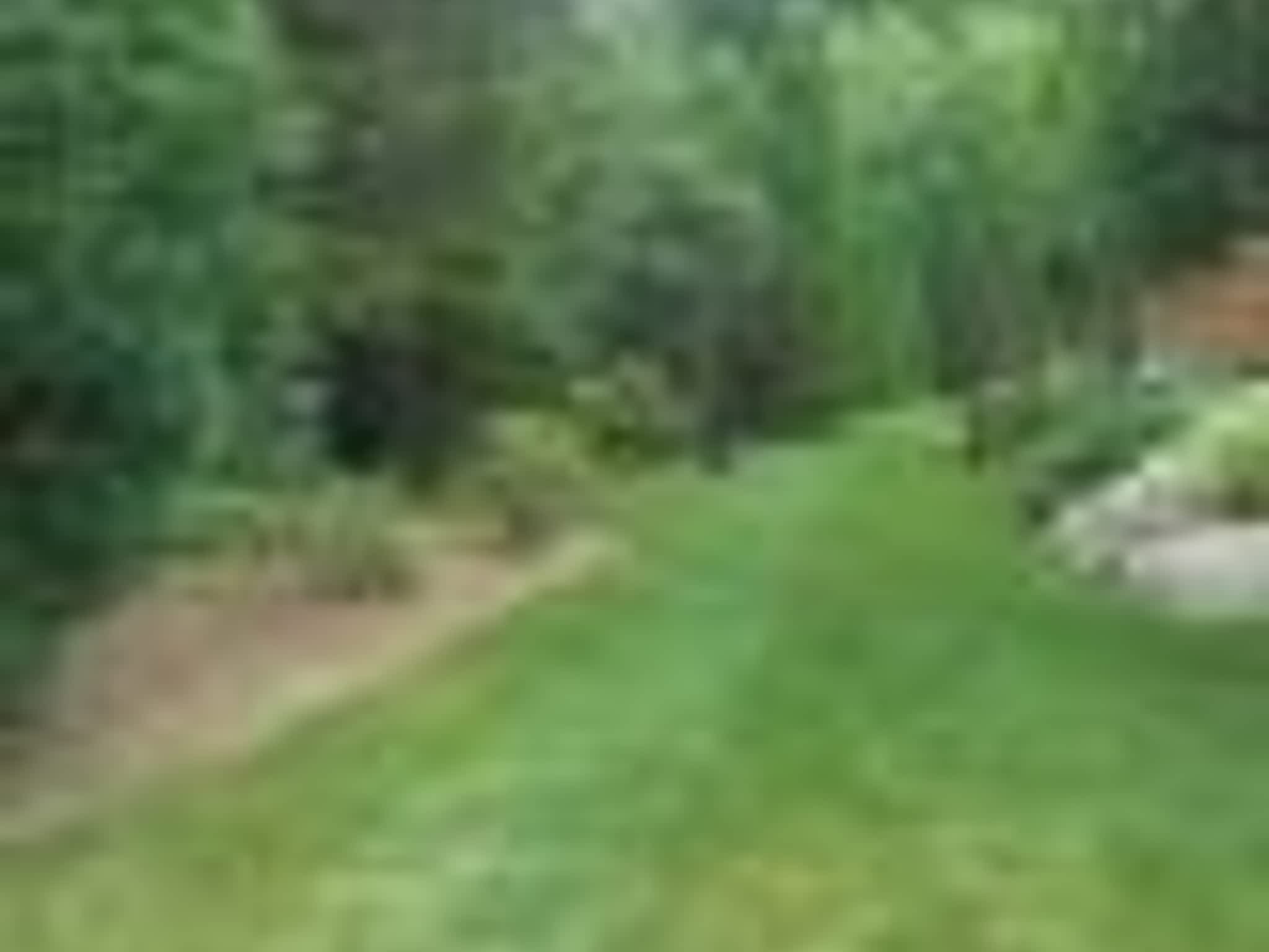 photo Taillage Compétitif CB