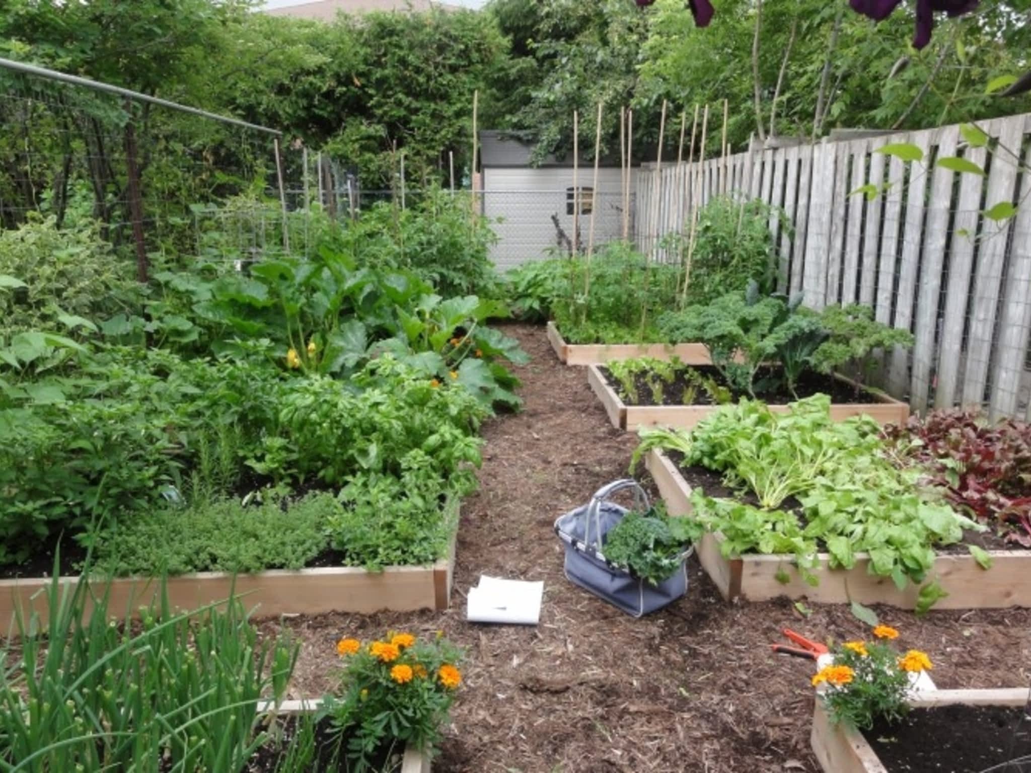 photo Young Urban Farmers