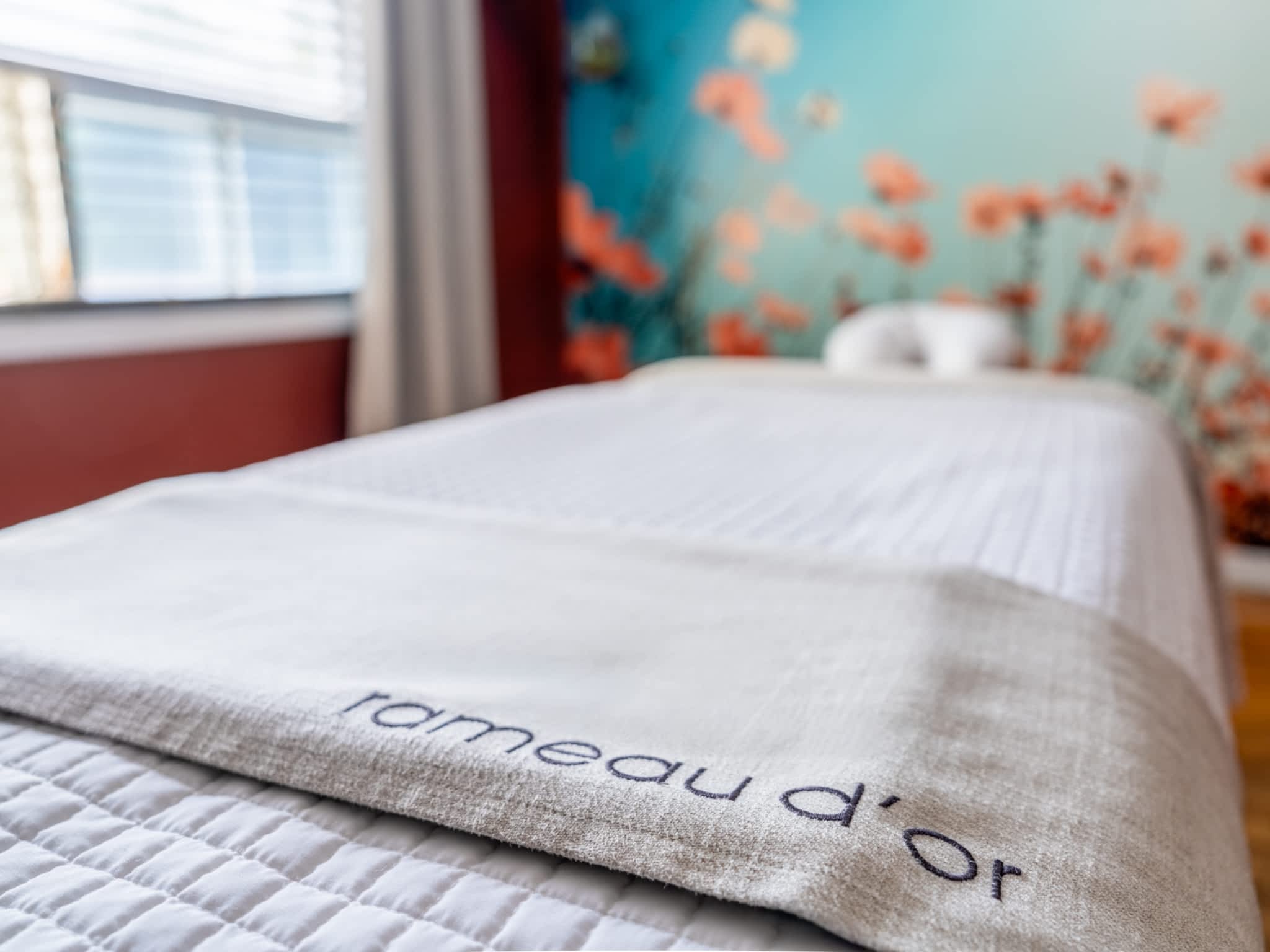 photo Institut Rameau d'Or