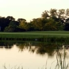Sutton Creek Golf Club - Voiturettes et chariots de golf