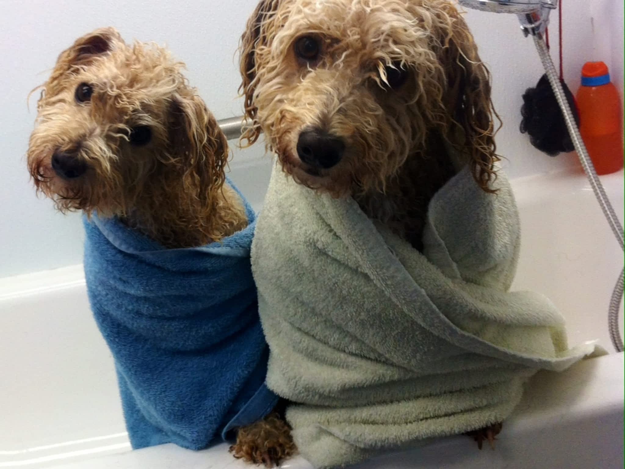 photo Au Bain les Barbouilles