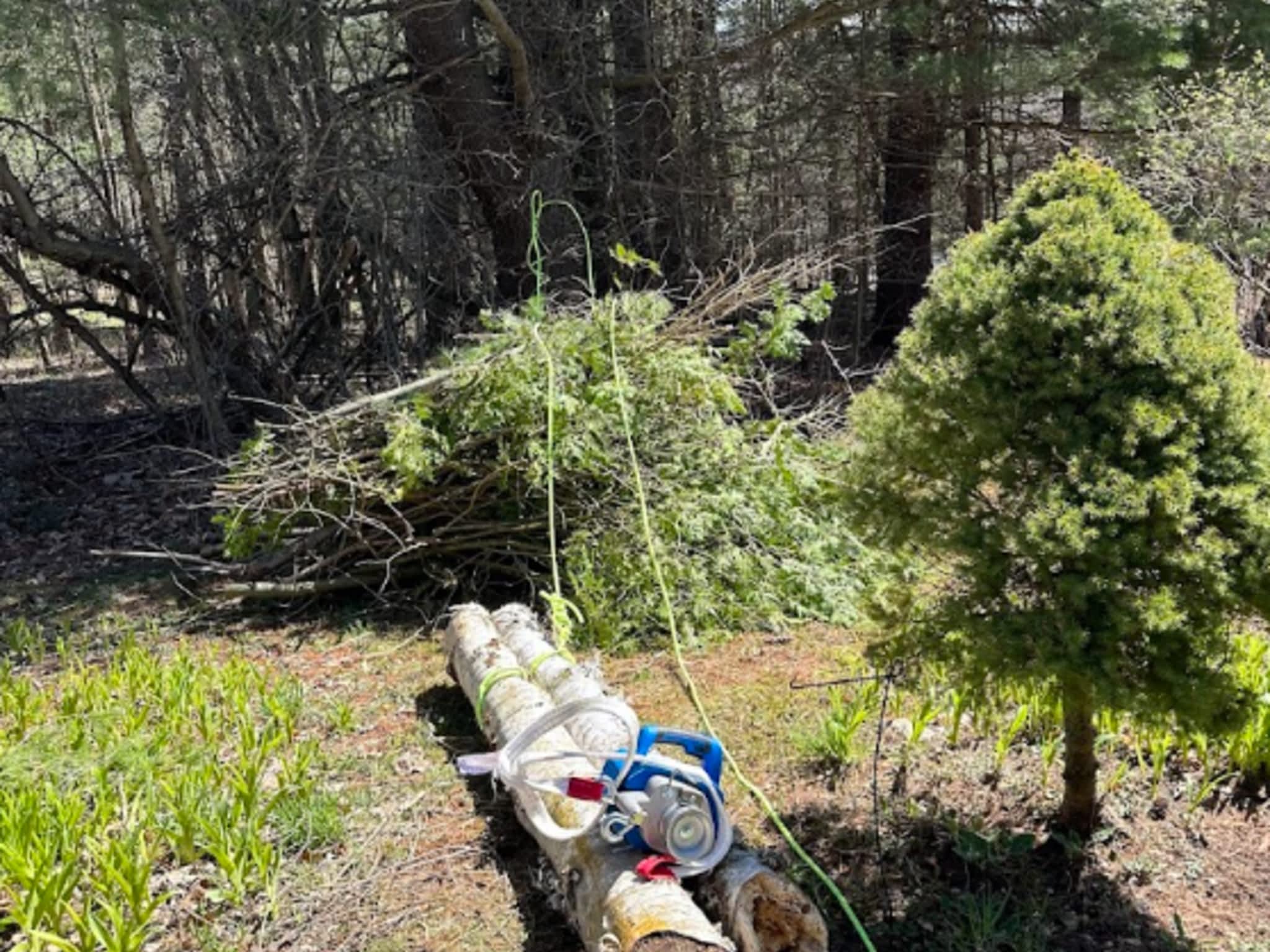 photo Gartons Tree Services