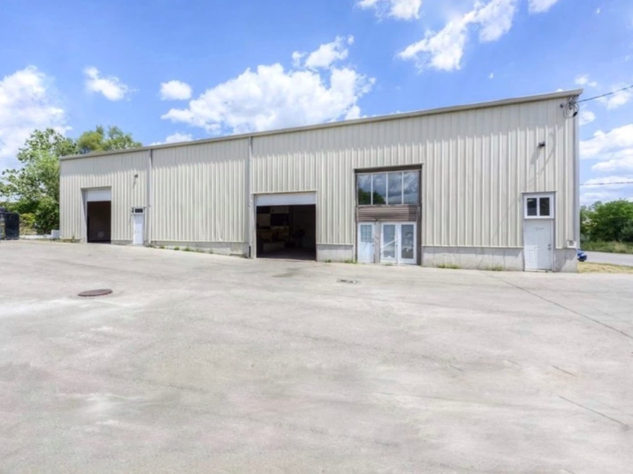 photo Working Wolf Dog Training