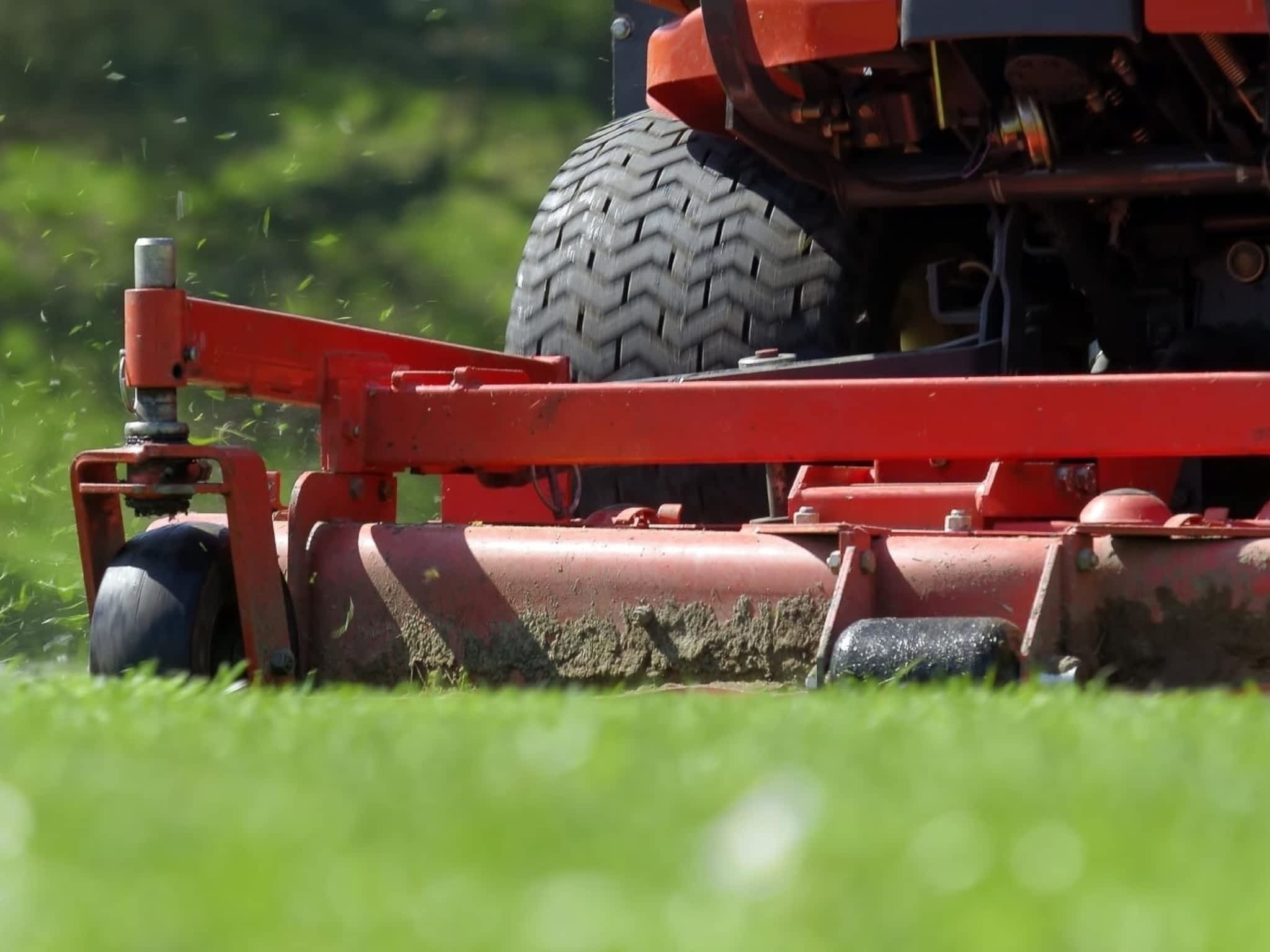 photo Be Yard Smart Inc