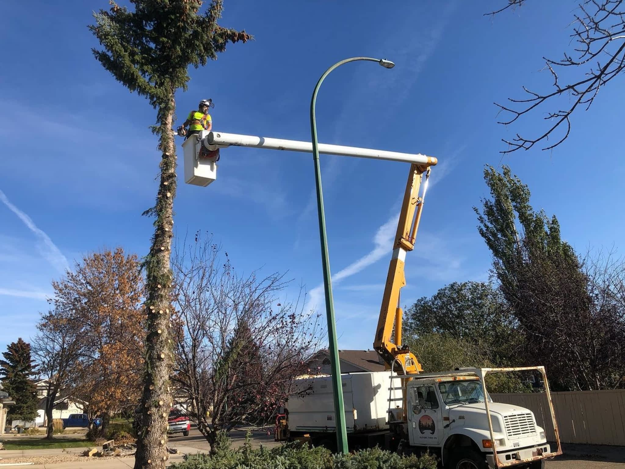 photo Sunset Tree Co