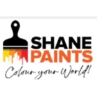 Shane Paints - Peintres