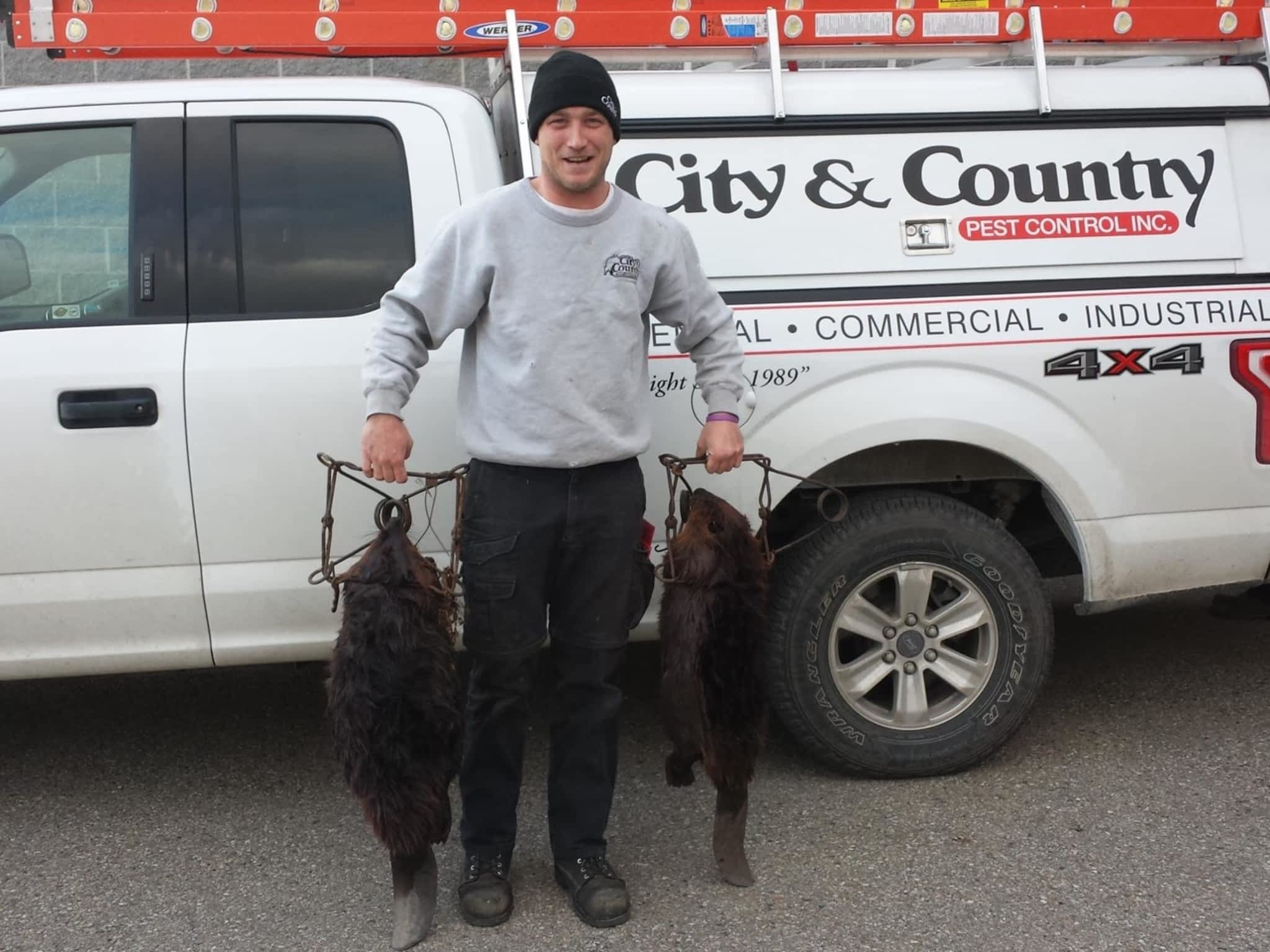 photo City And Country Pest Control