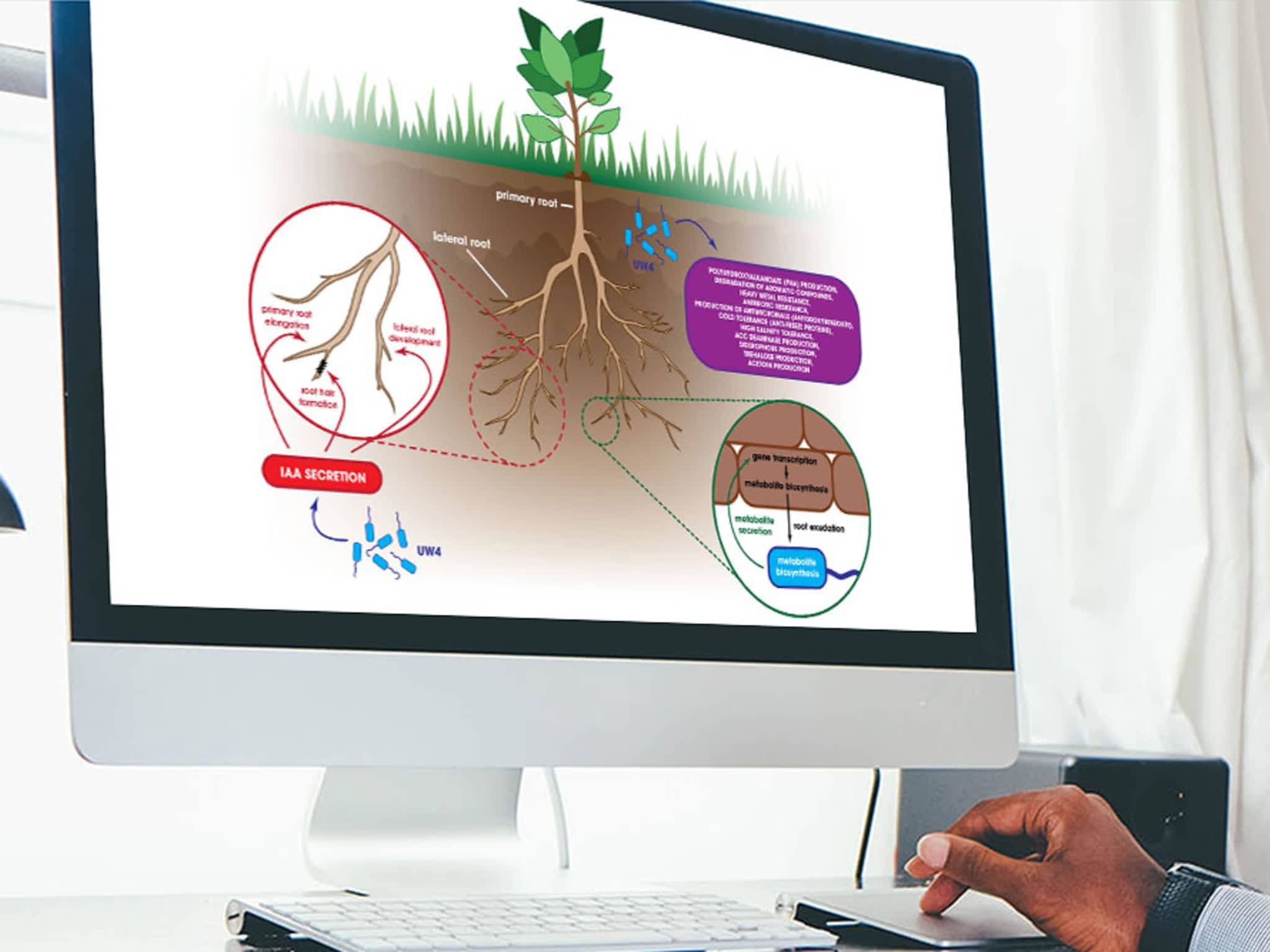 photo CryoDragon Inc