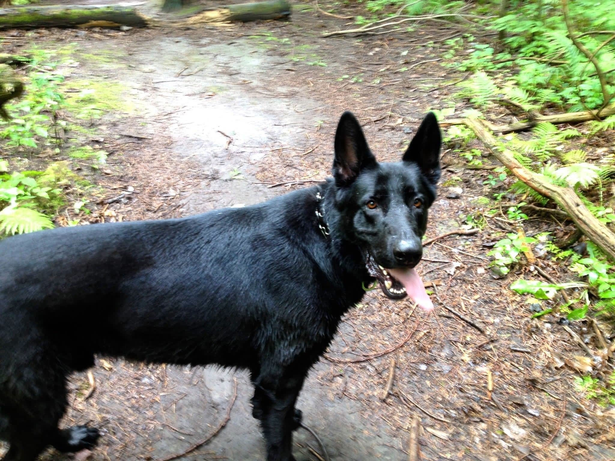 photo Monster Minder