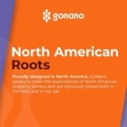 Gonano - Concrete Contractors