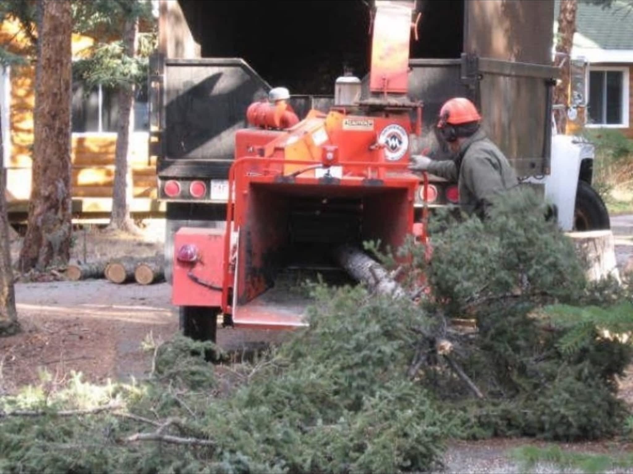 photo Bednesti Tree Services Inc