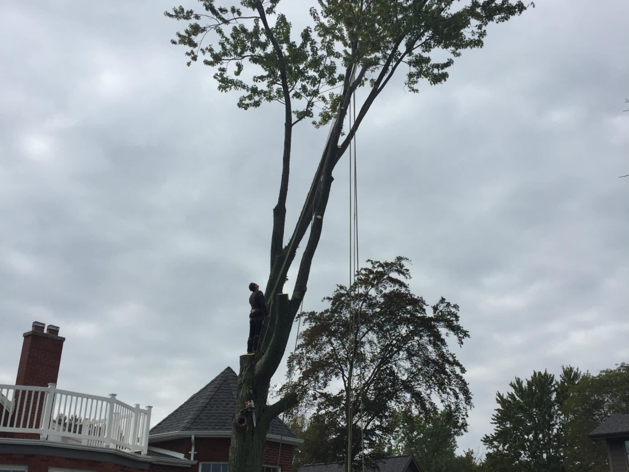 photo J R Tree Service