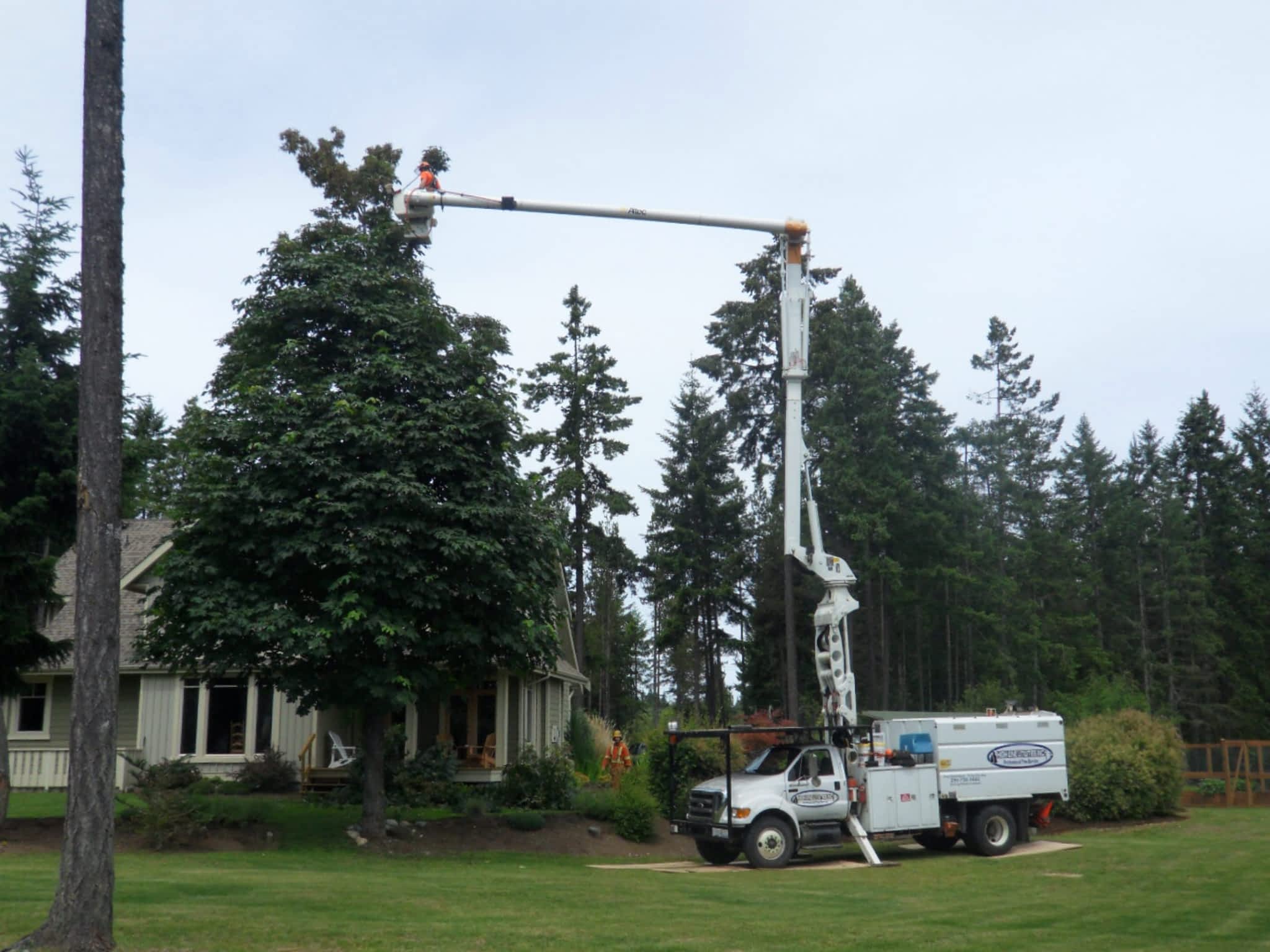 photo High Line Environmental