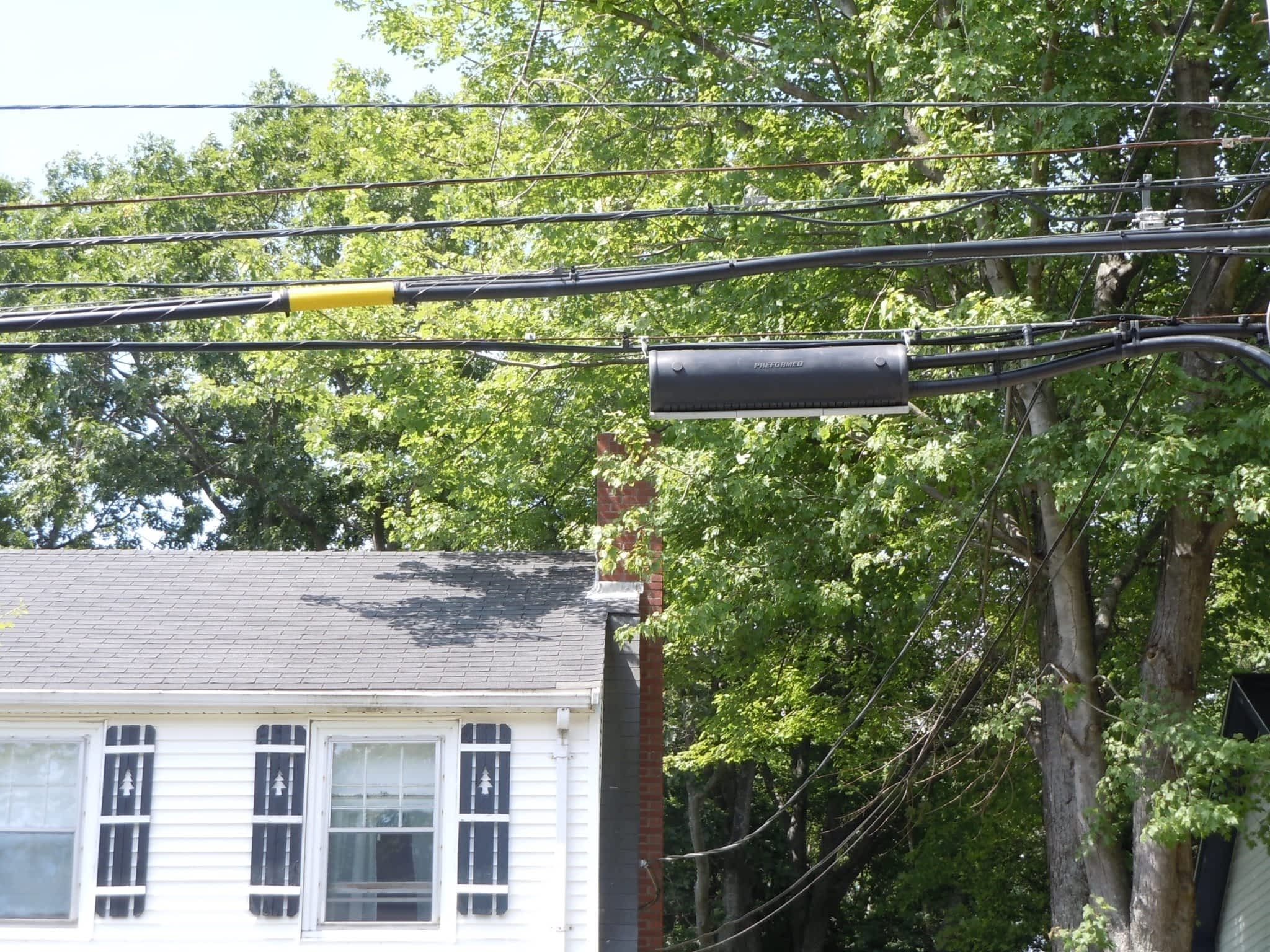 photo Solid Tree Care