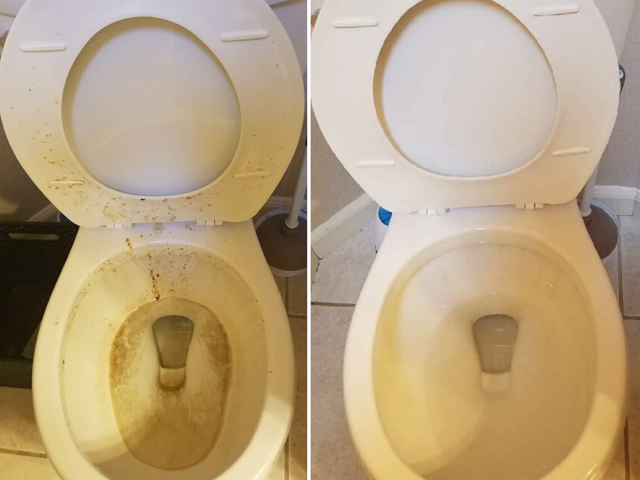 photo New Bloom Cleaning Services