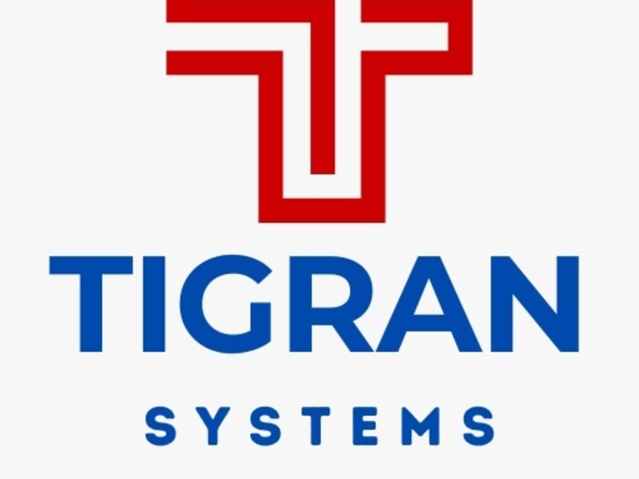 photo Tigran Systems Solutions