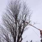 Voir le profil de Abattage & Émondage X-Arbre - Gatineau