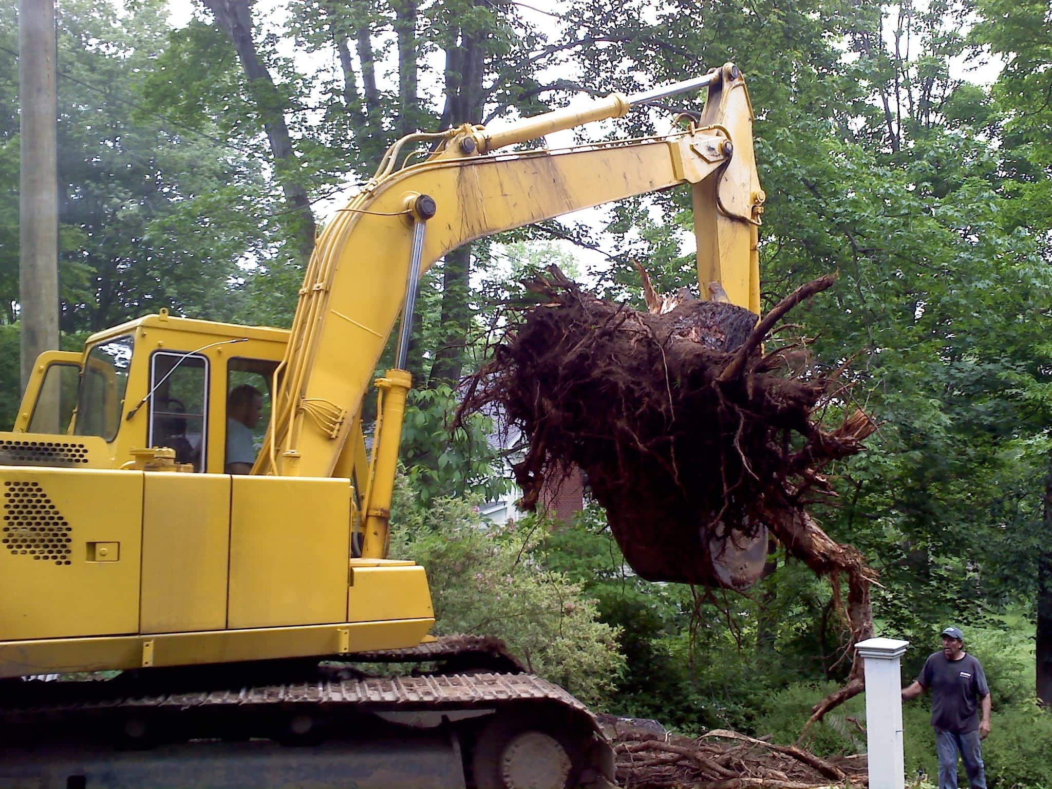 photo Calgary Tree Services Ltd