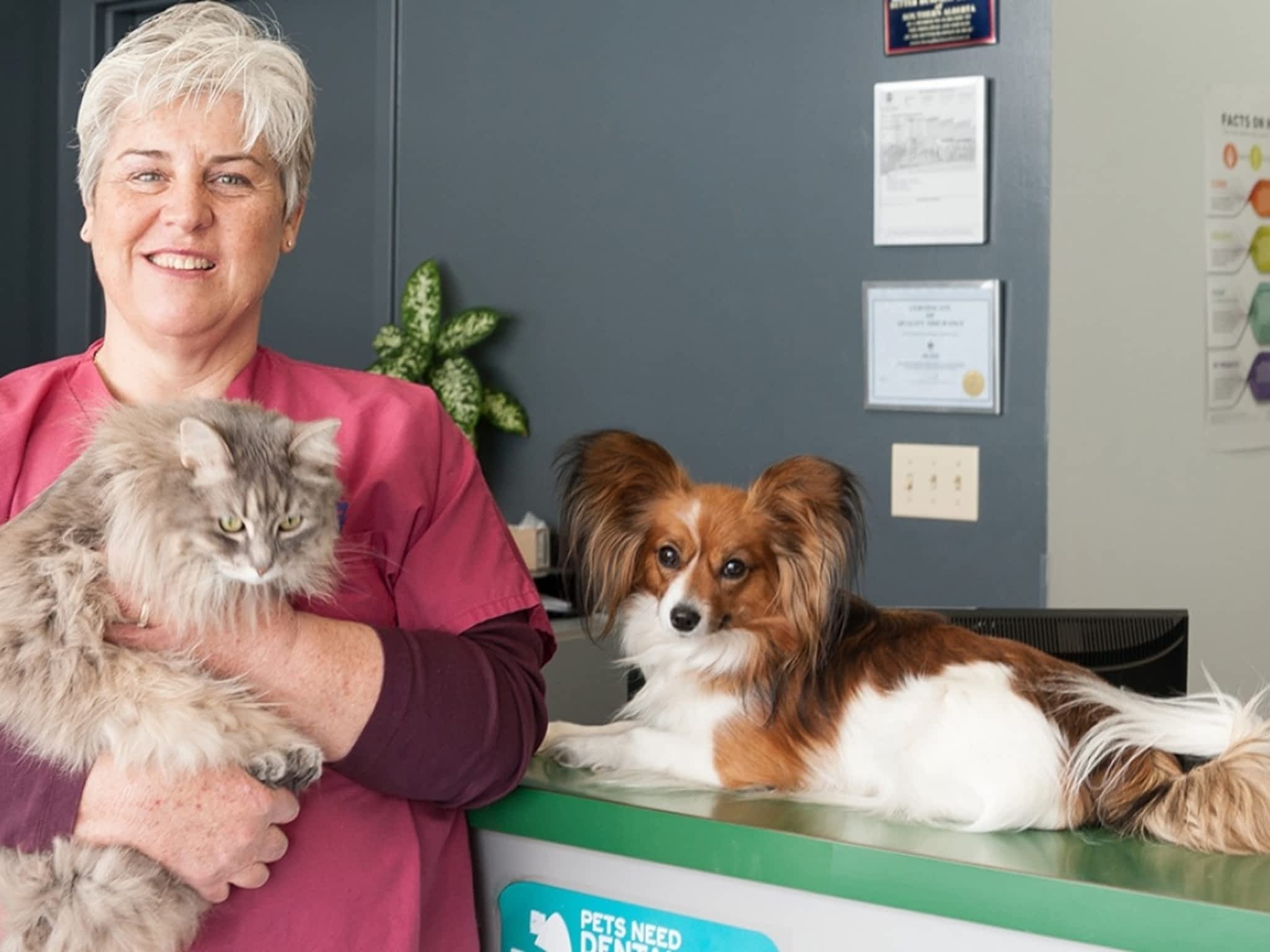 photo Sundance Animal Hospital