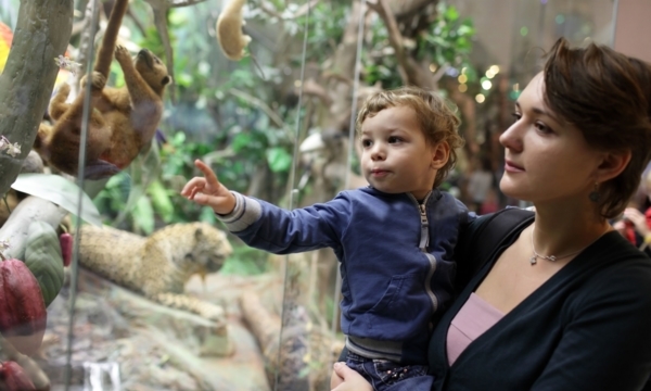 Rainy day activities for kids in Vancouver