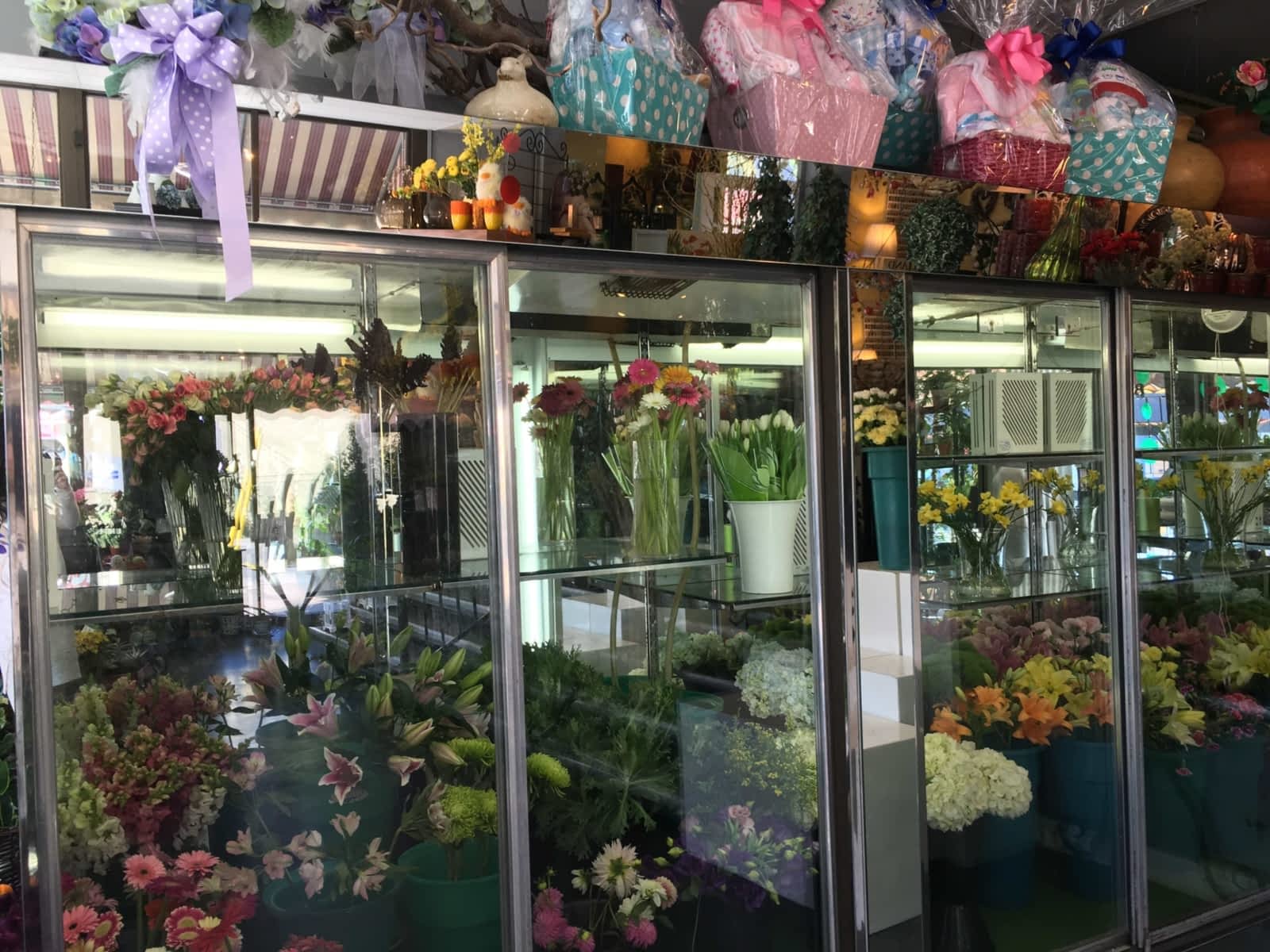 Alma Florists Ltd Opening Hours 886 Kingston Rd, Toronto, ON