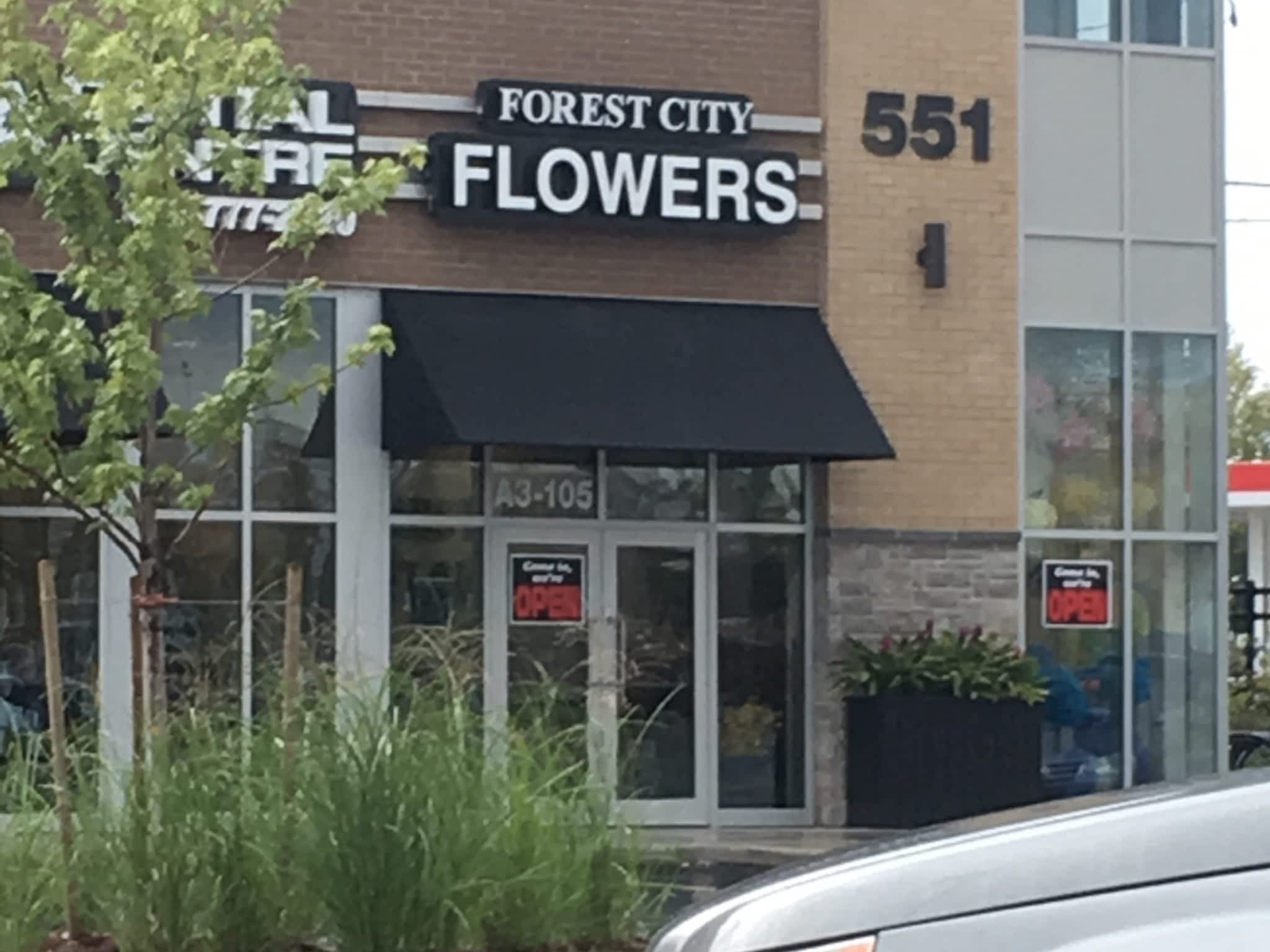 photo Forest Of Flowers