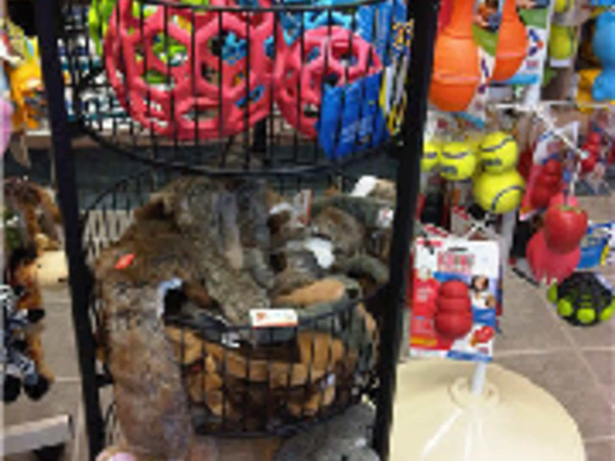 photo Middleton Veterinary Services