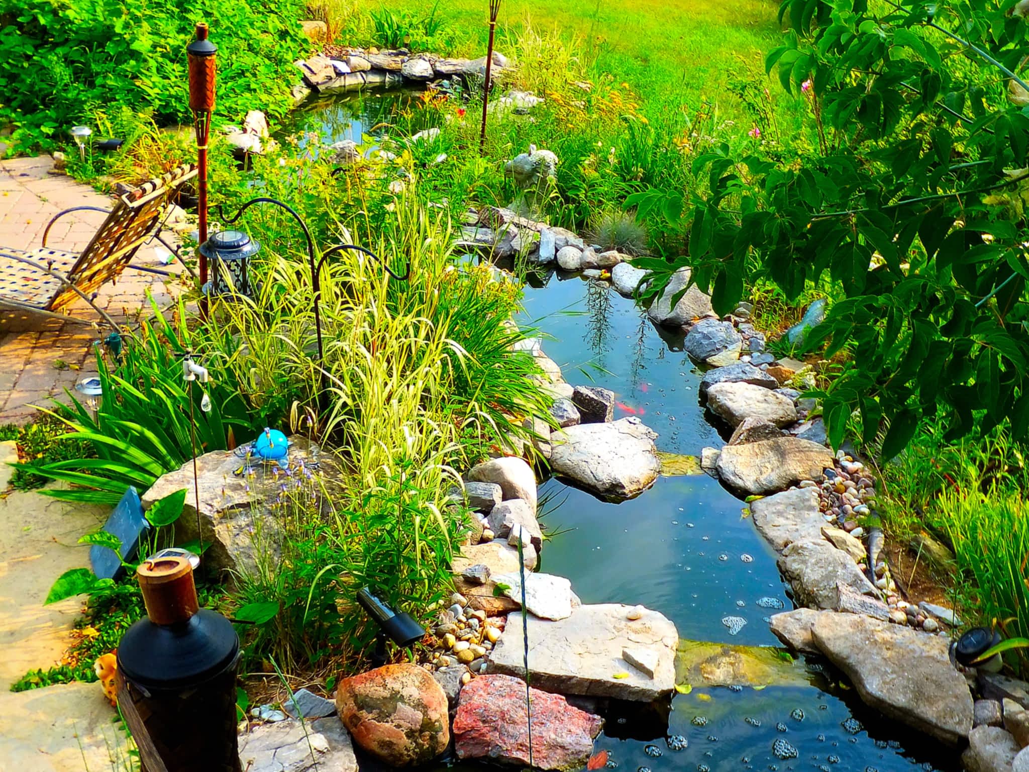 photo Dreamscape Landscaping