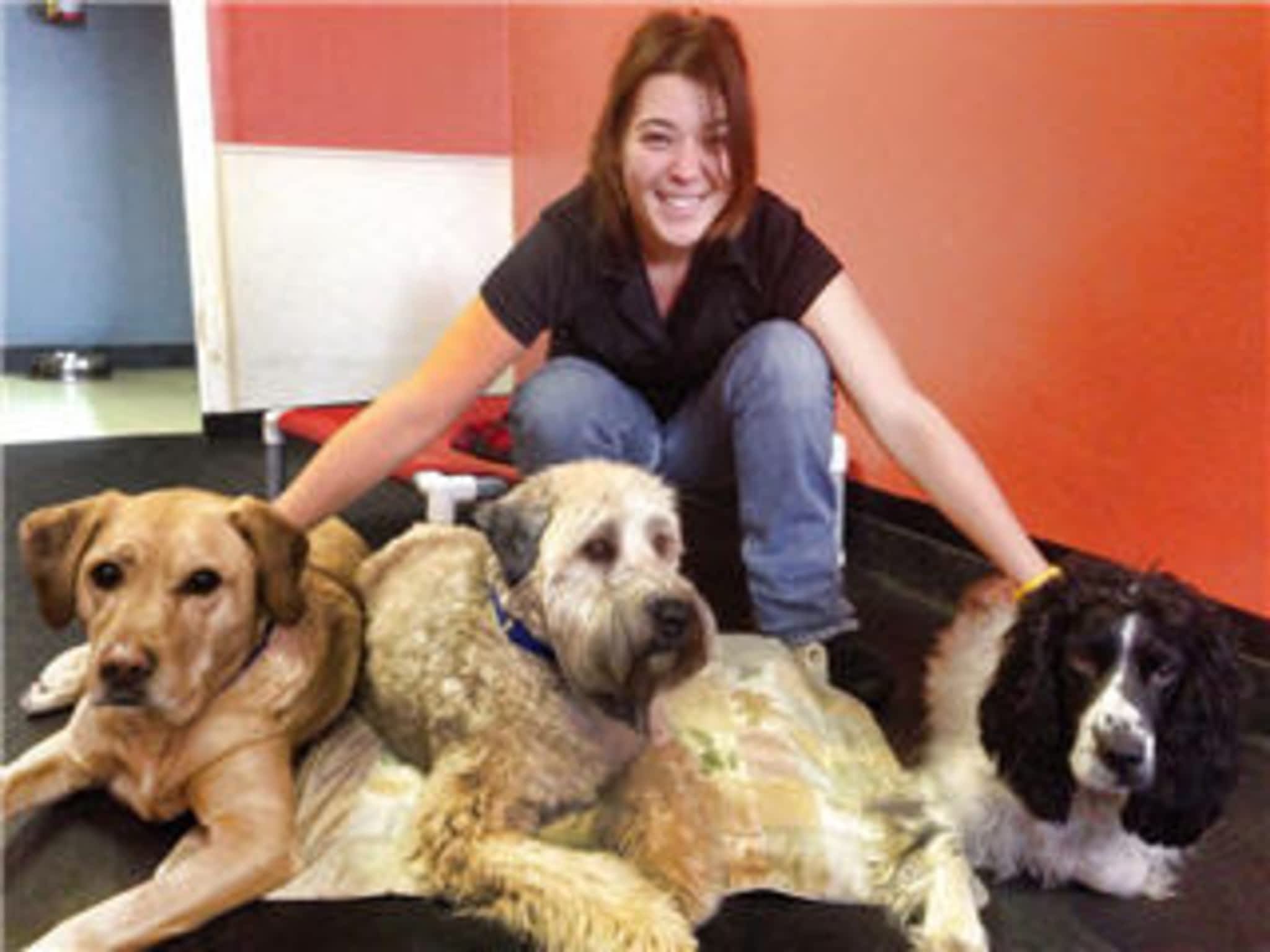 photo K9to5 Dog Daycare & Grooming